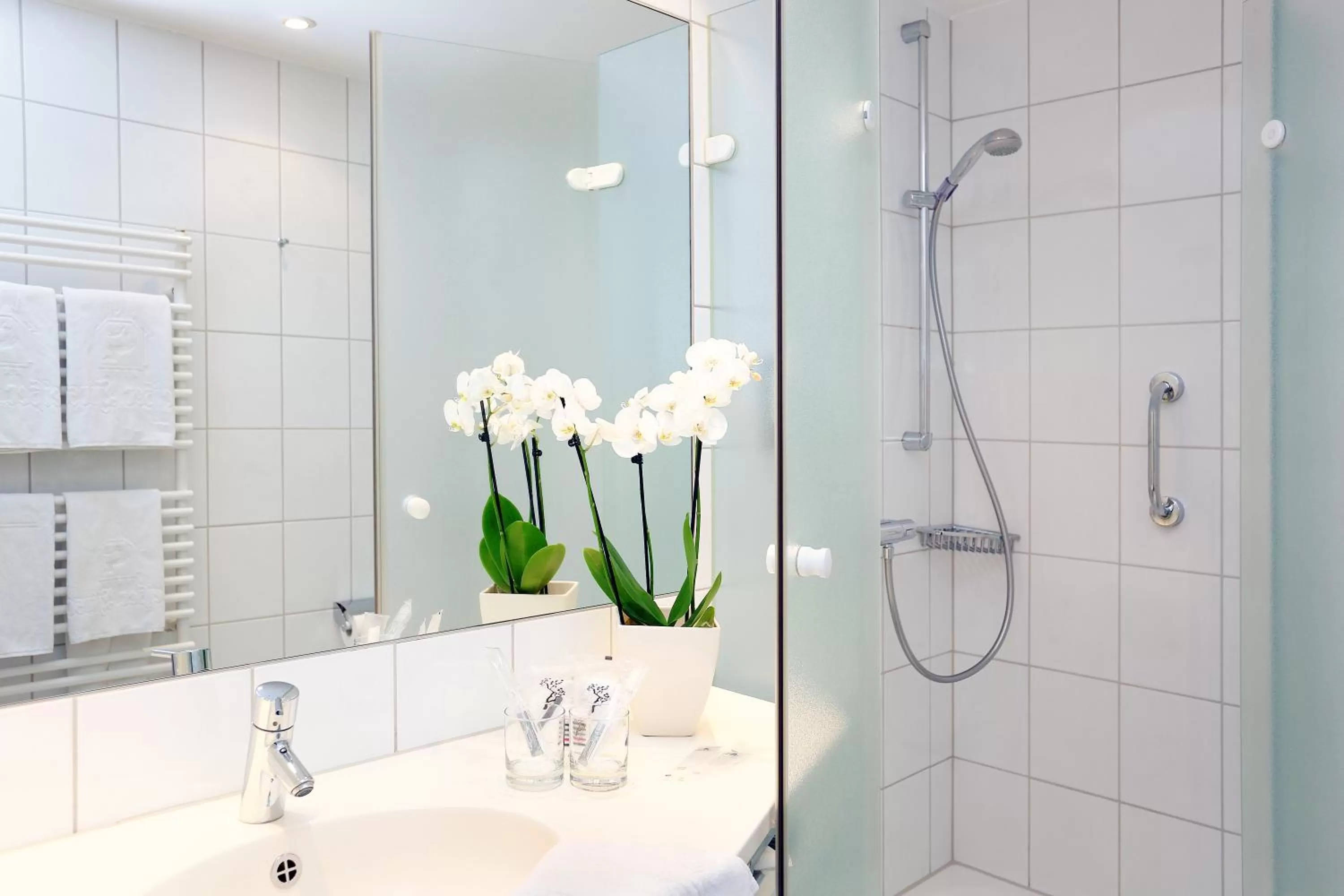 Decorative detail in Ringhotel Weißer Hirsch