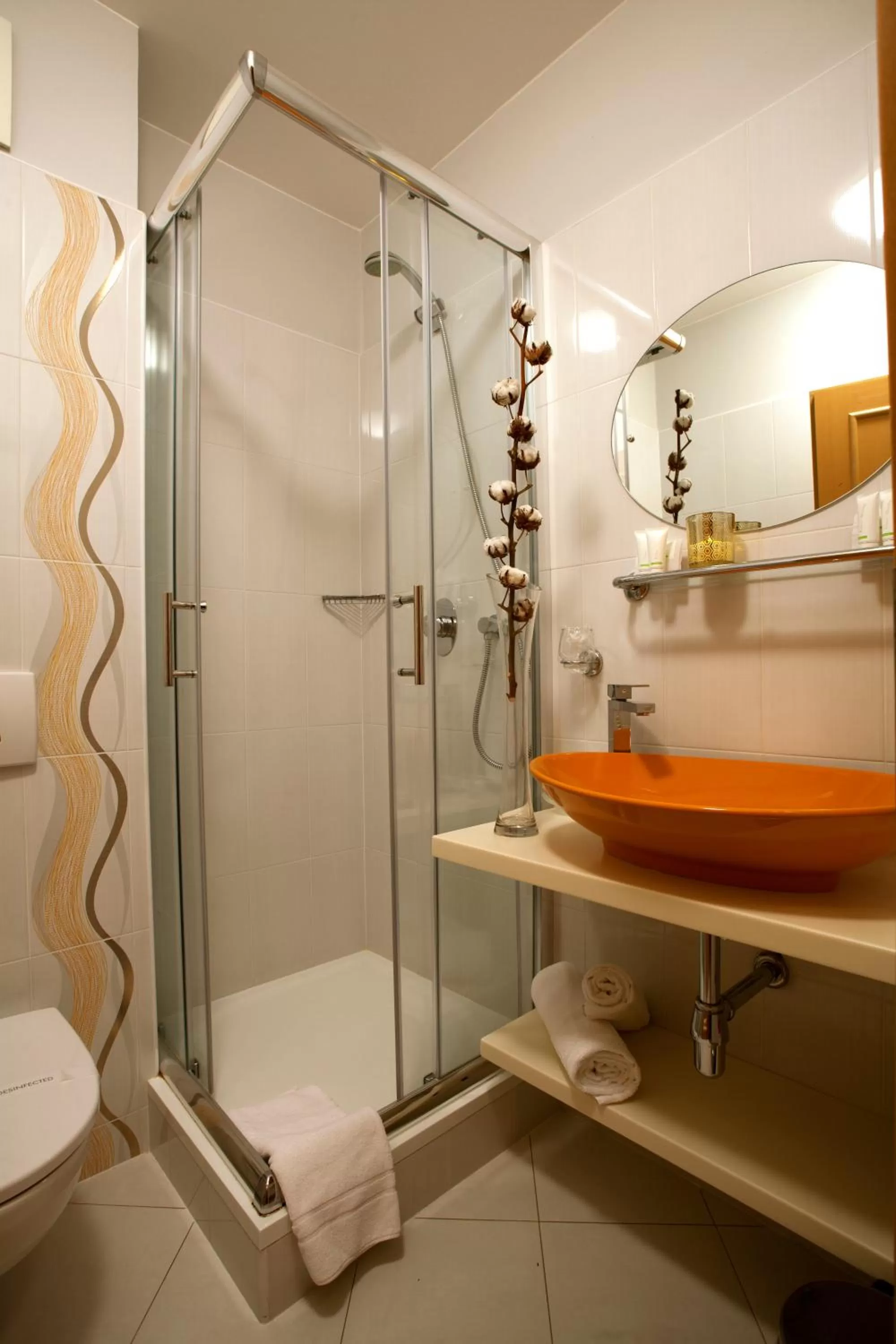 Shower in Hotel Ambiente Wellness & Spa