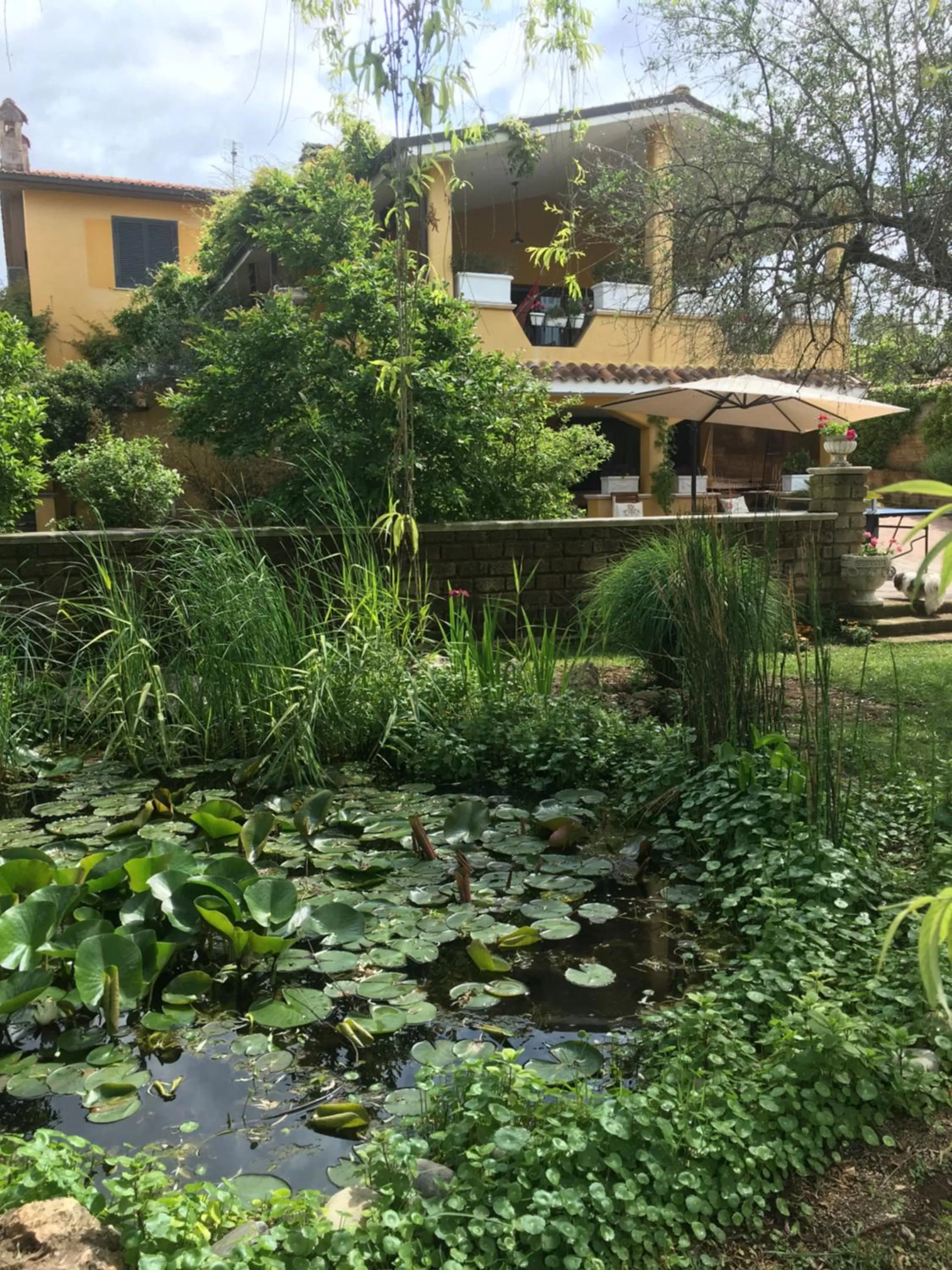 Garden in Home Sweet Home