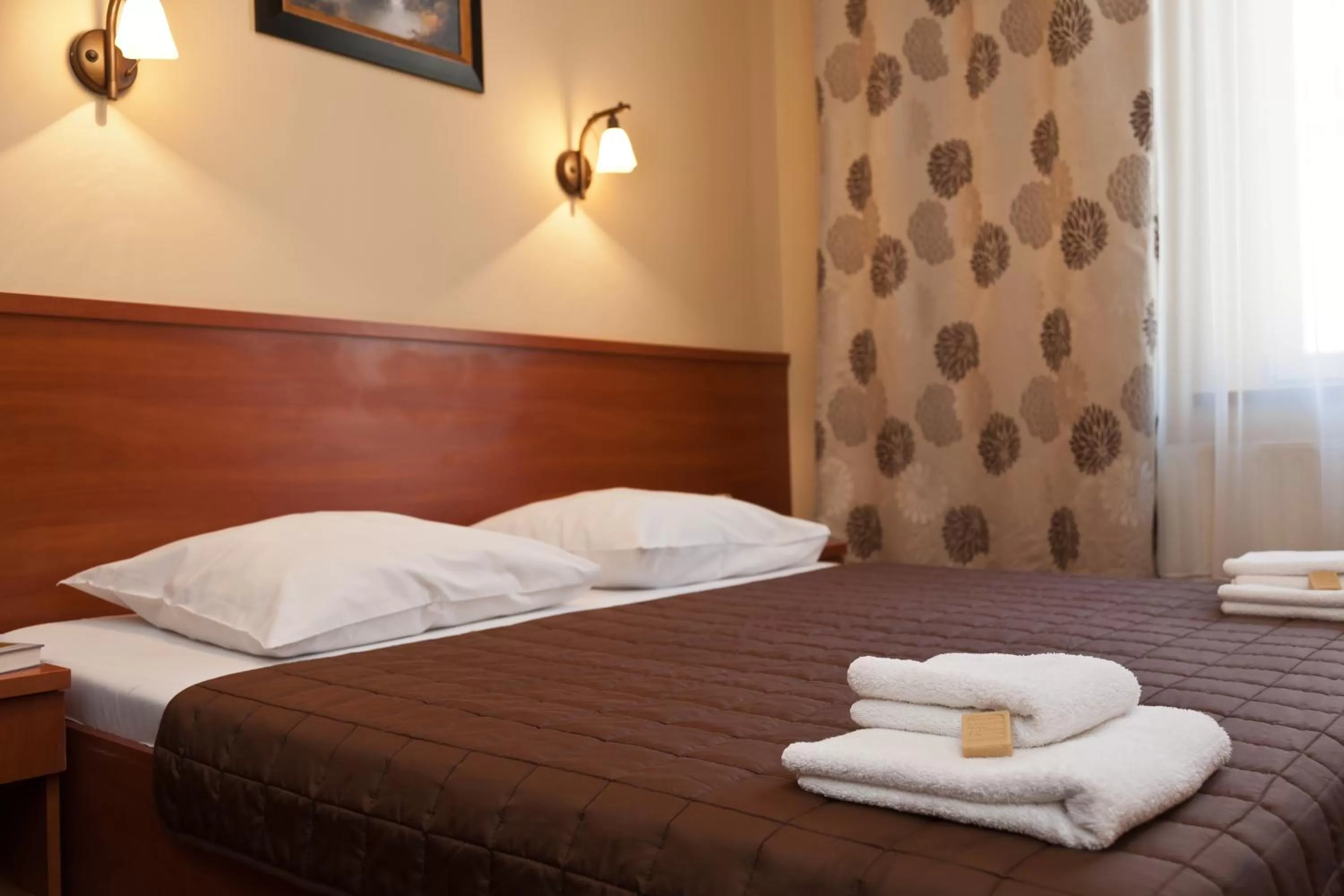 Double Room in Hotel Maksymilian