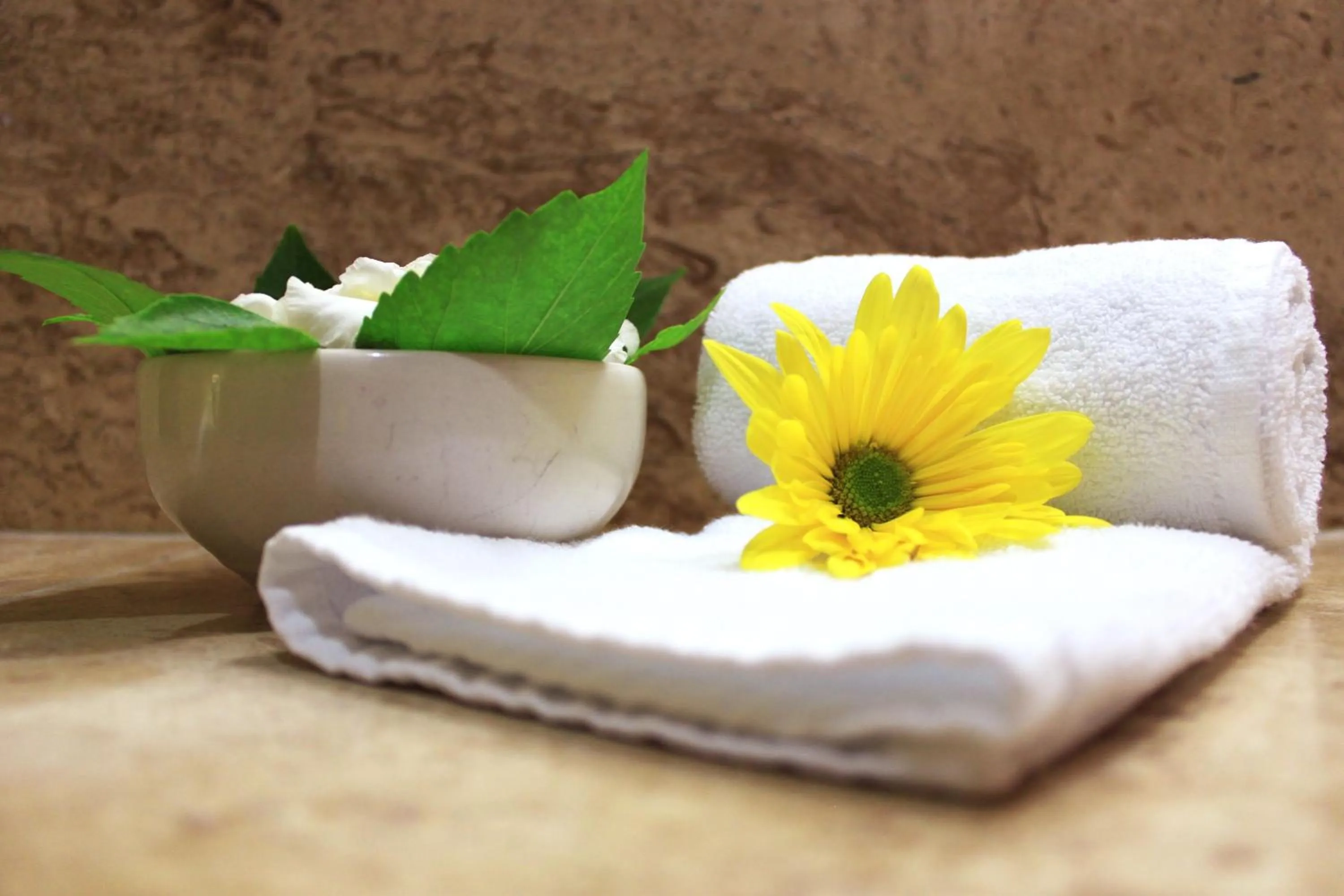 Area and facilities in Coral Ixtapa