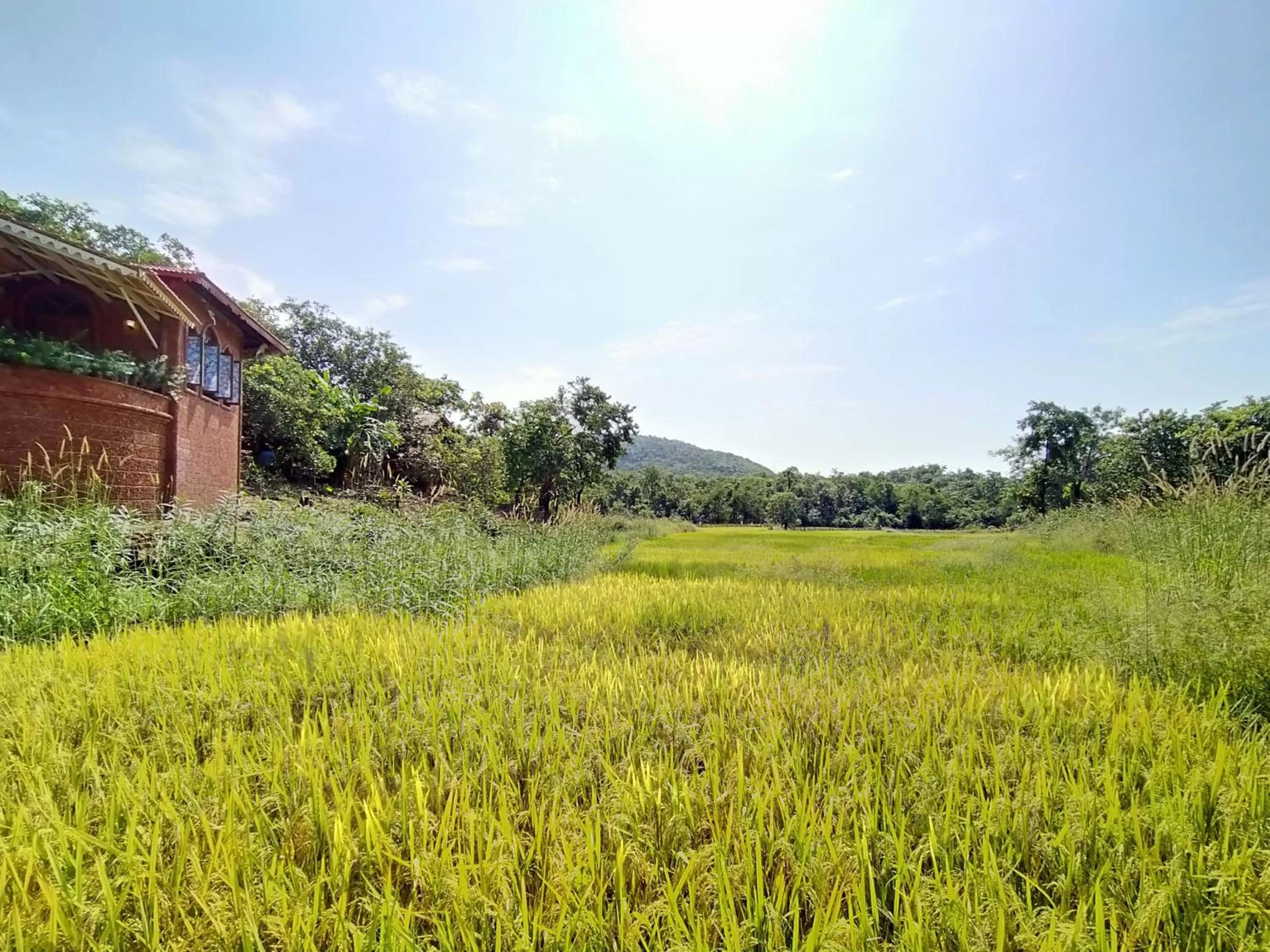 Natural landscape in Porsu