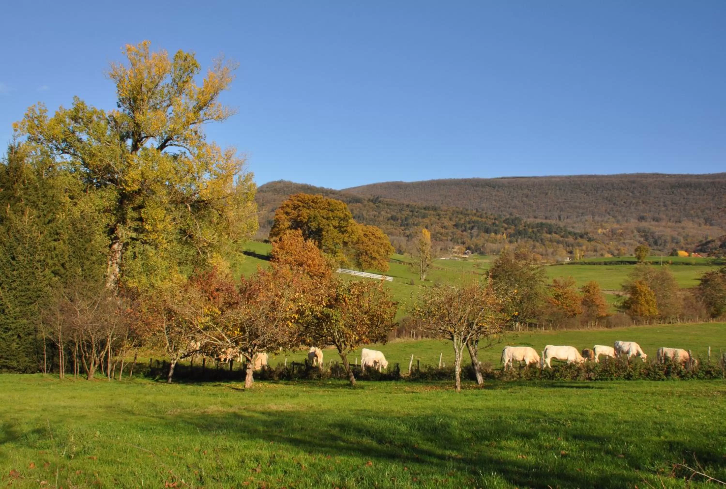 Natural landscape in Terres de la Grange B&B
