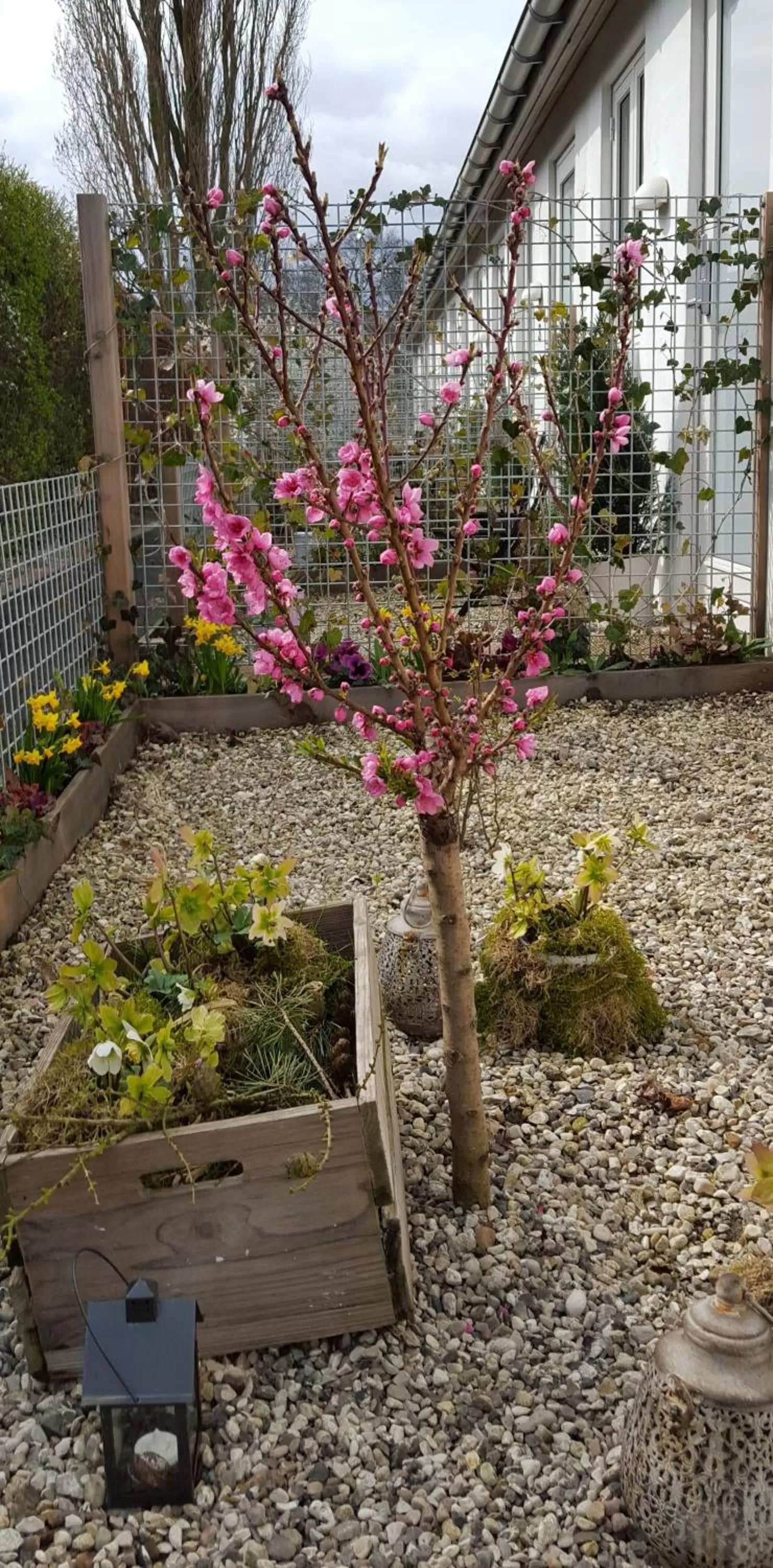 Decorative detail in EngholmBB