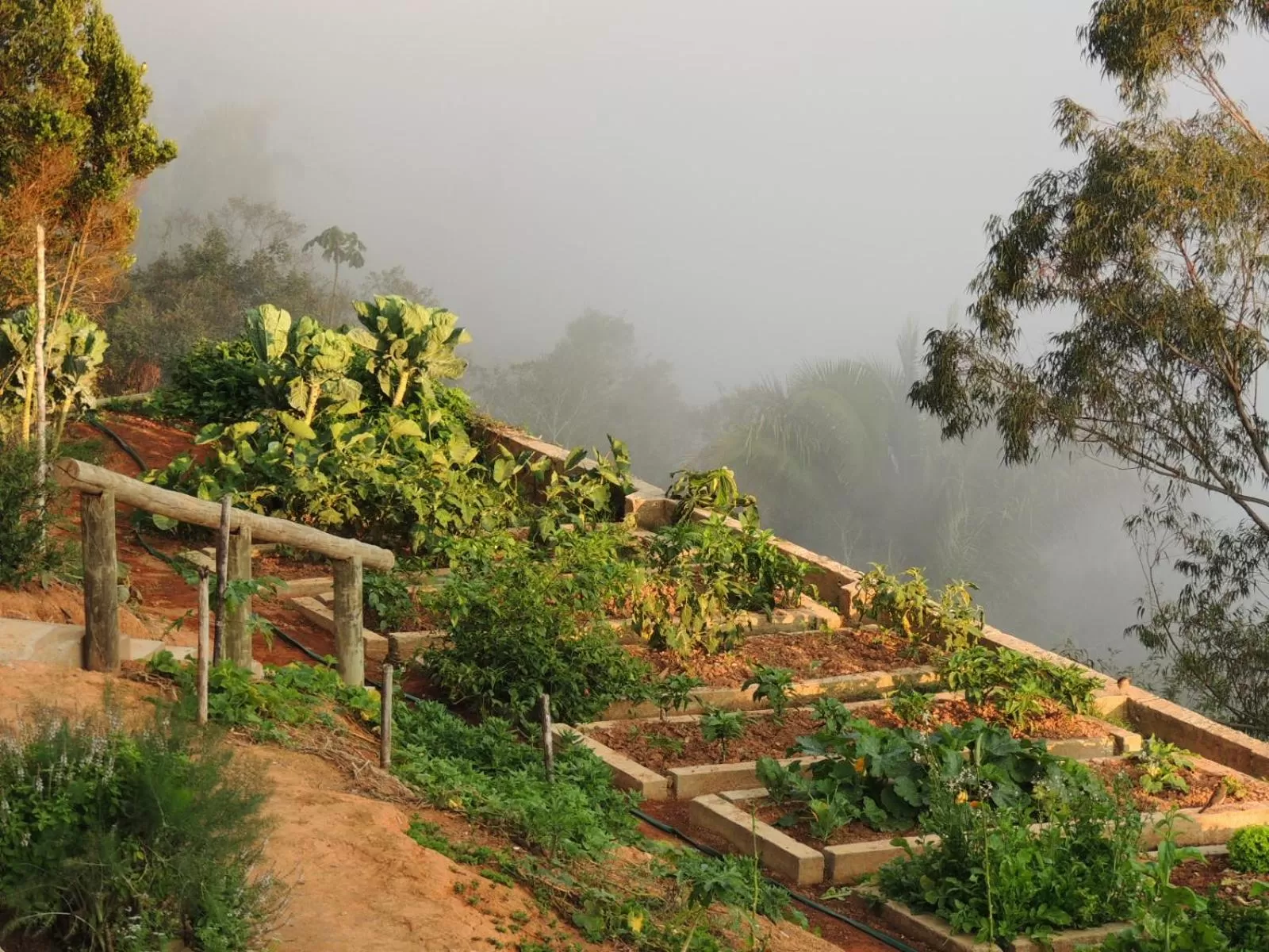 Pousada R.N.C. Nosso Paraíso