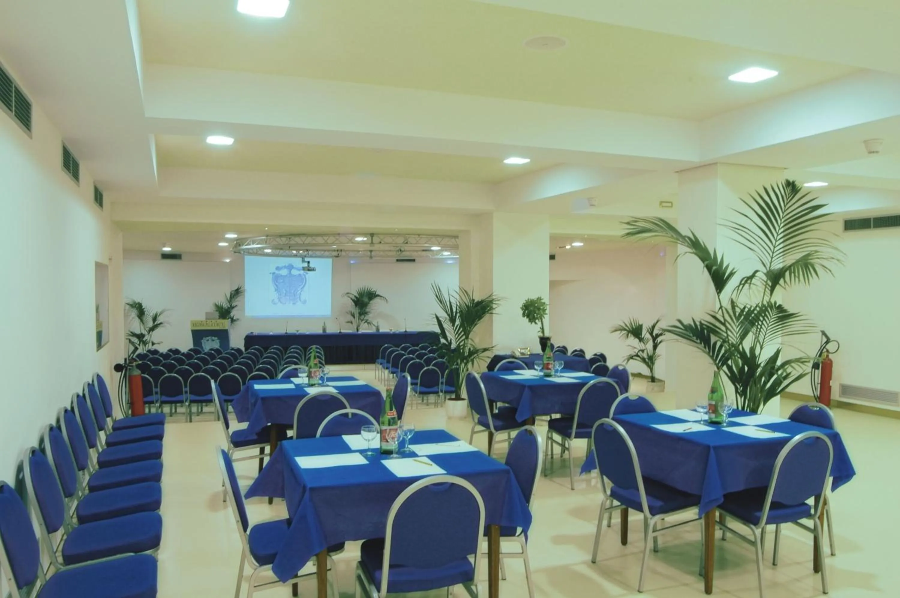 Business facilities in Reginna Palace Hotel