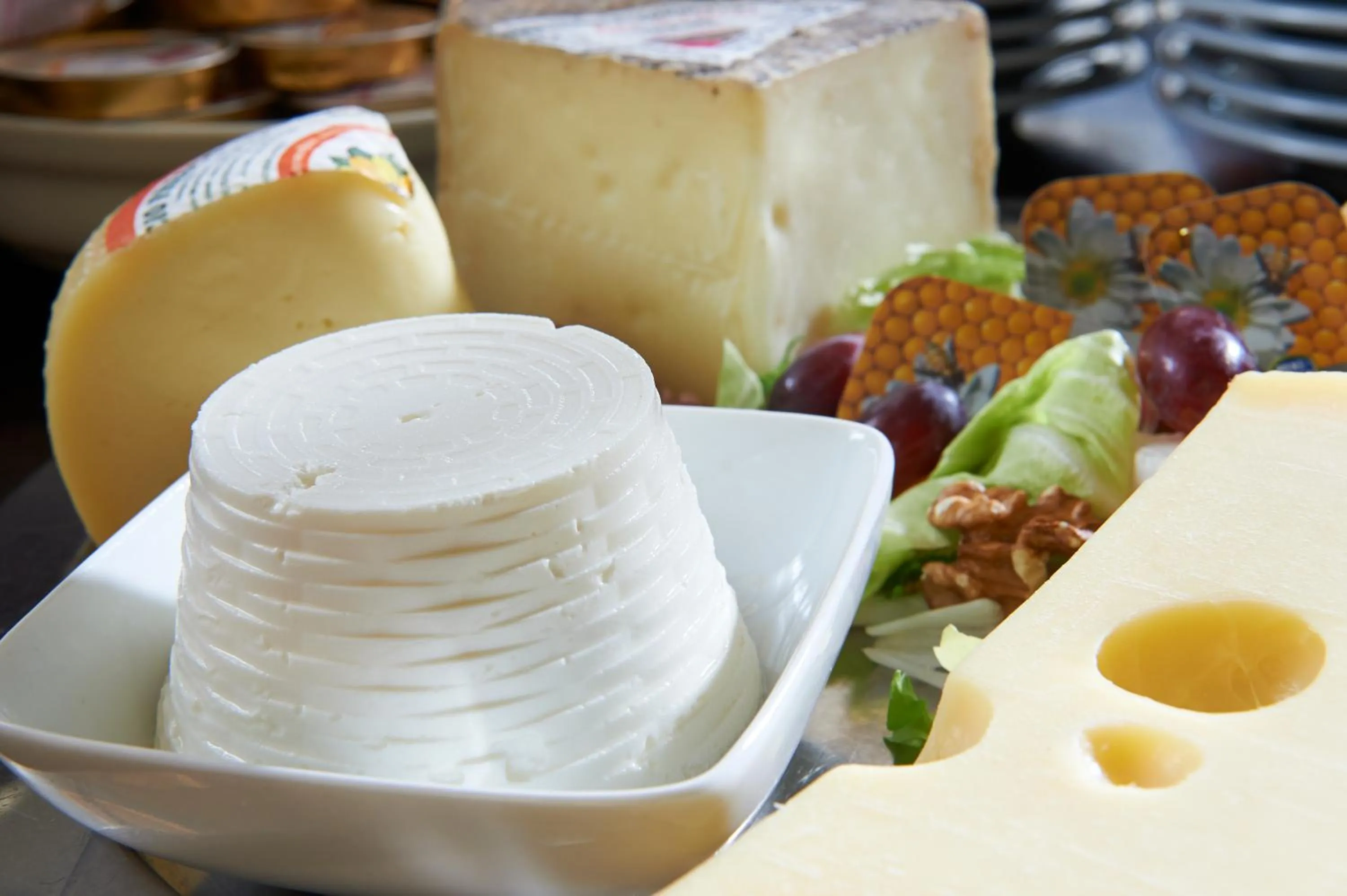 Food close-up in Park Hotel Chianti