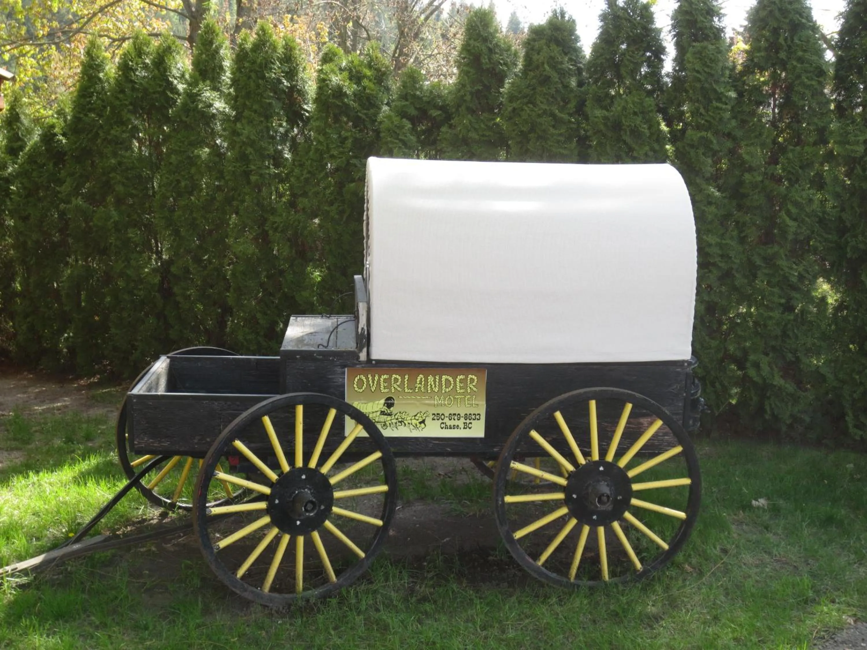 Decorative detail in Overlander Motel