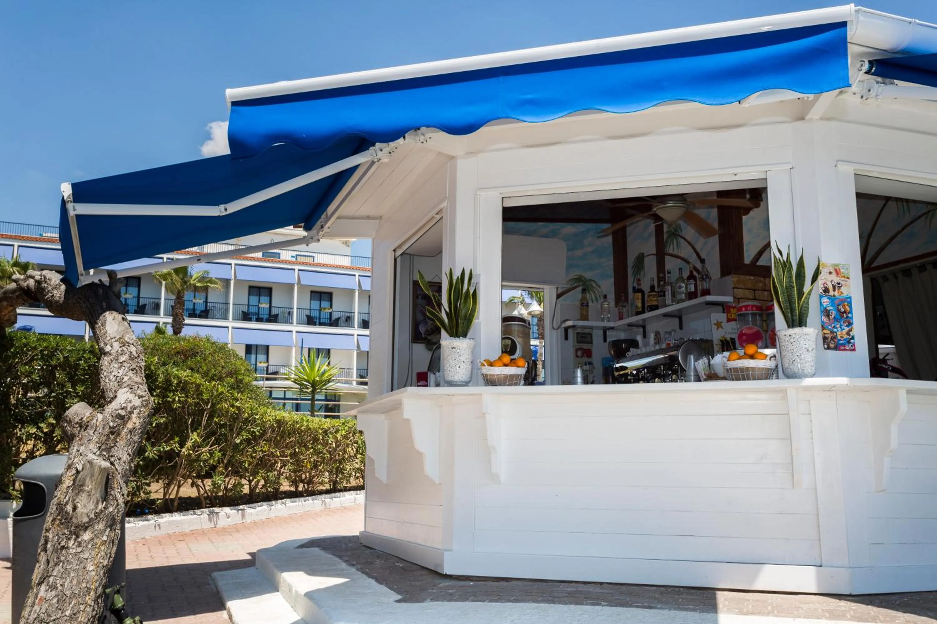 Lounge or bar in Ticho's Greenblu Hotel