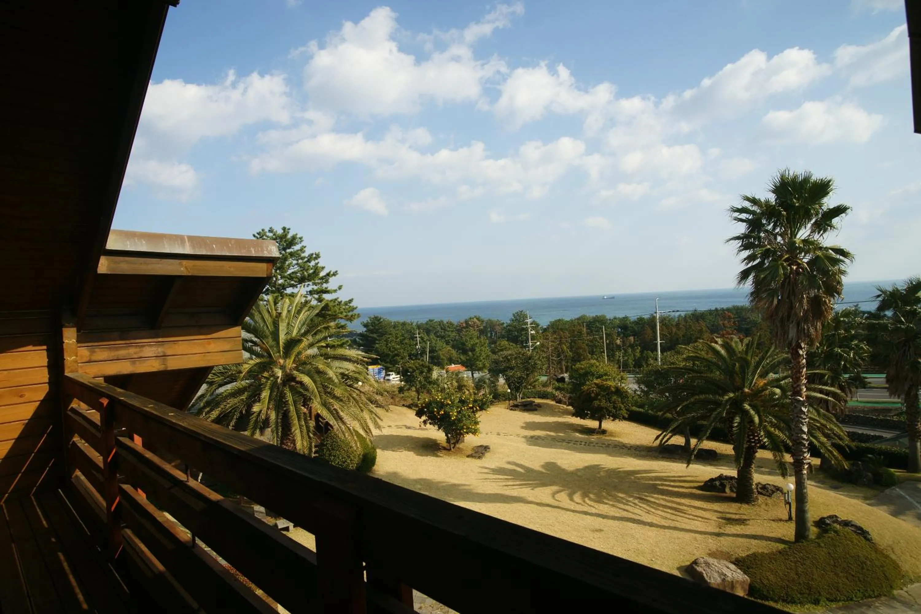 Day in Sunny Day Jeju