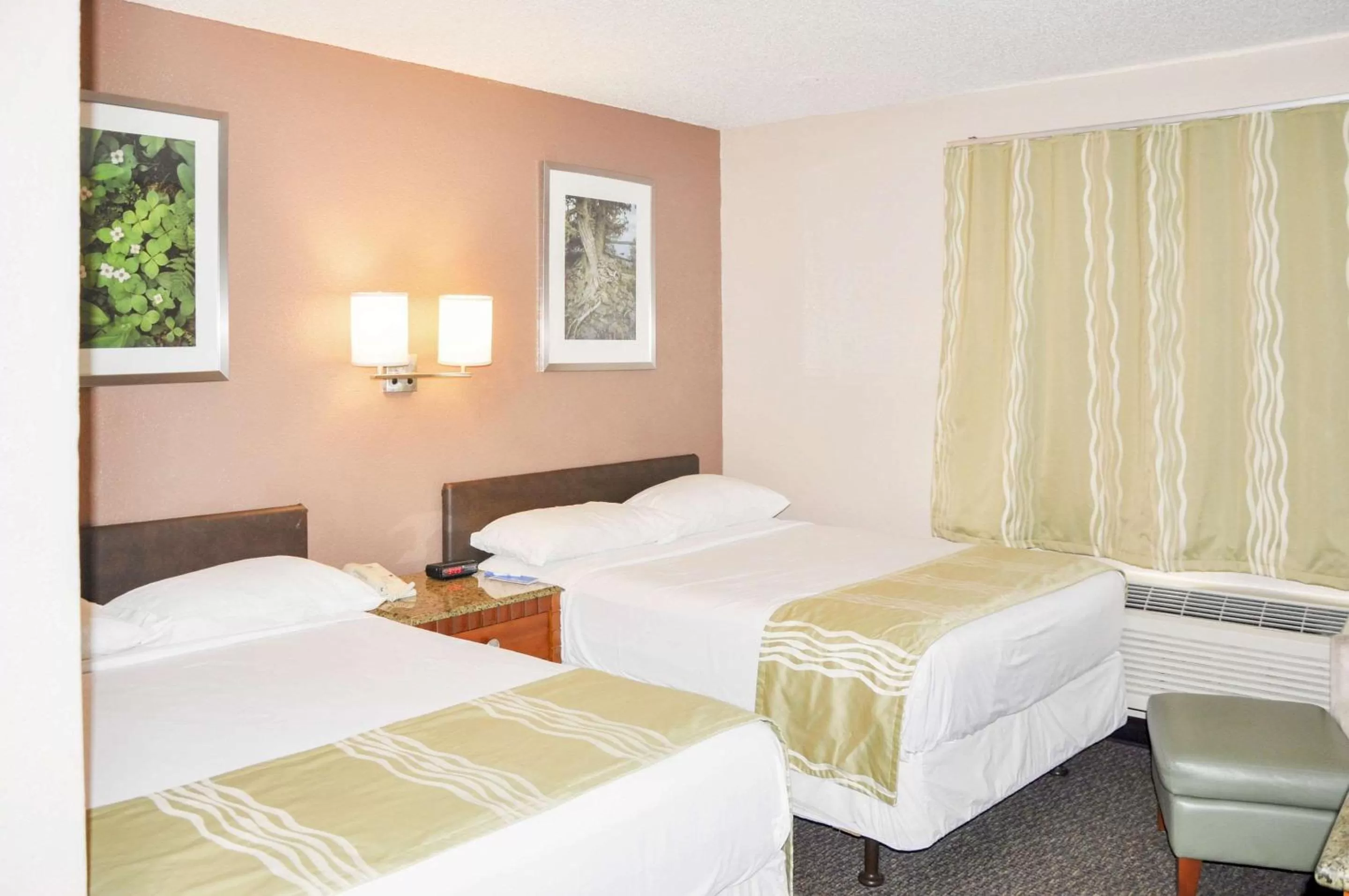 Photo of the whole room in Rodeway Inn