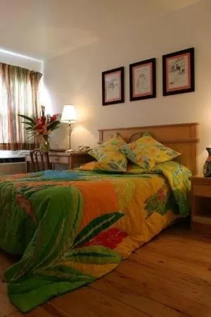 Budget Double Room in Hotel Normandie Limited