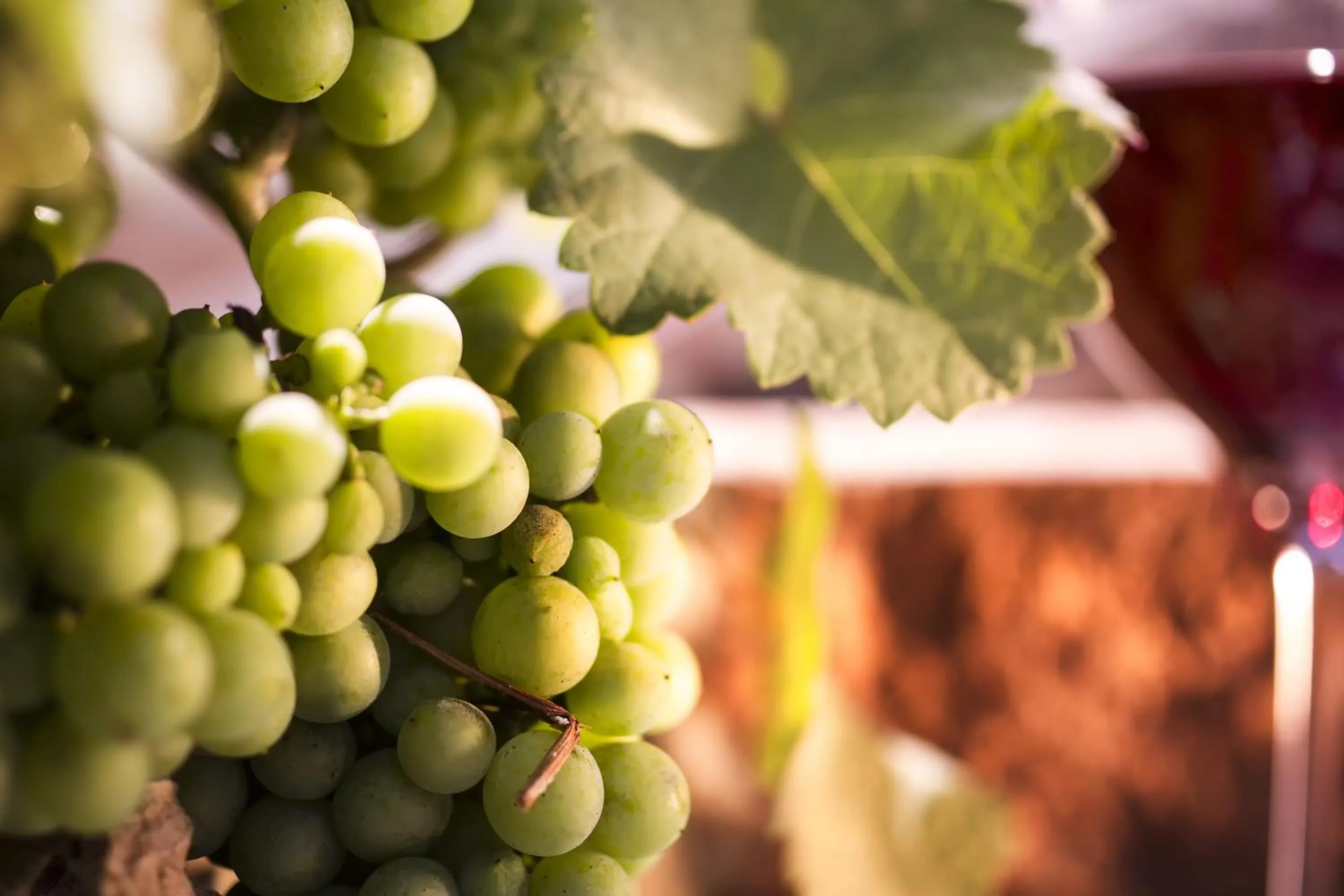 Balcony/Terrace in Zur Weinsteige