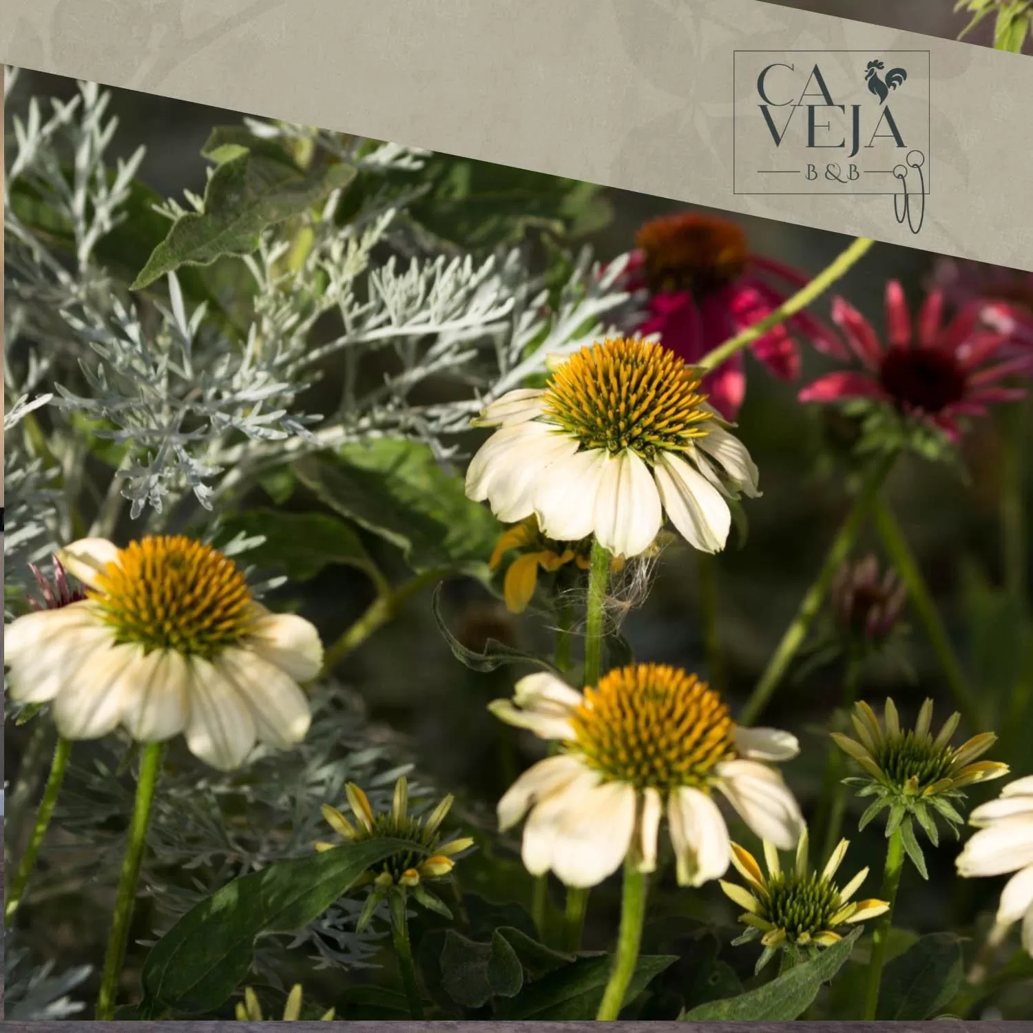 Garden in Ca Veja B&B Forlì