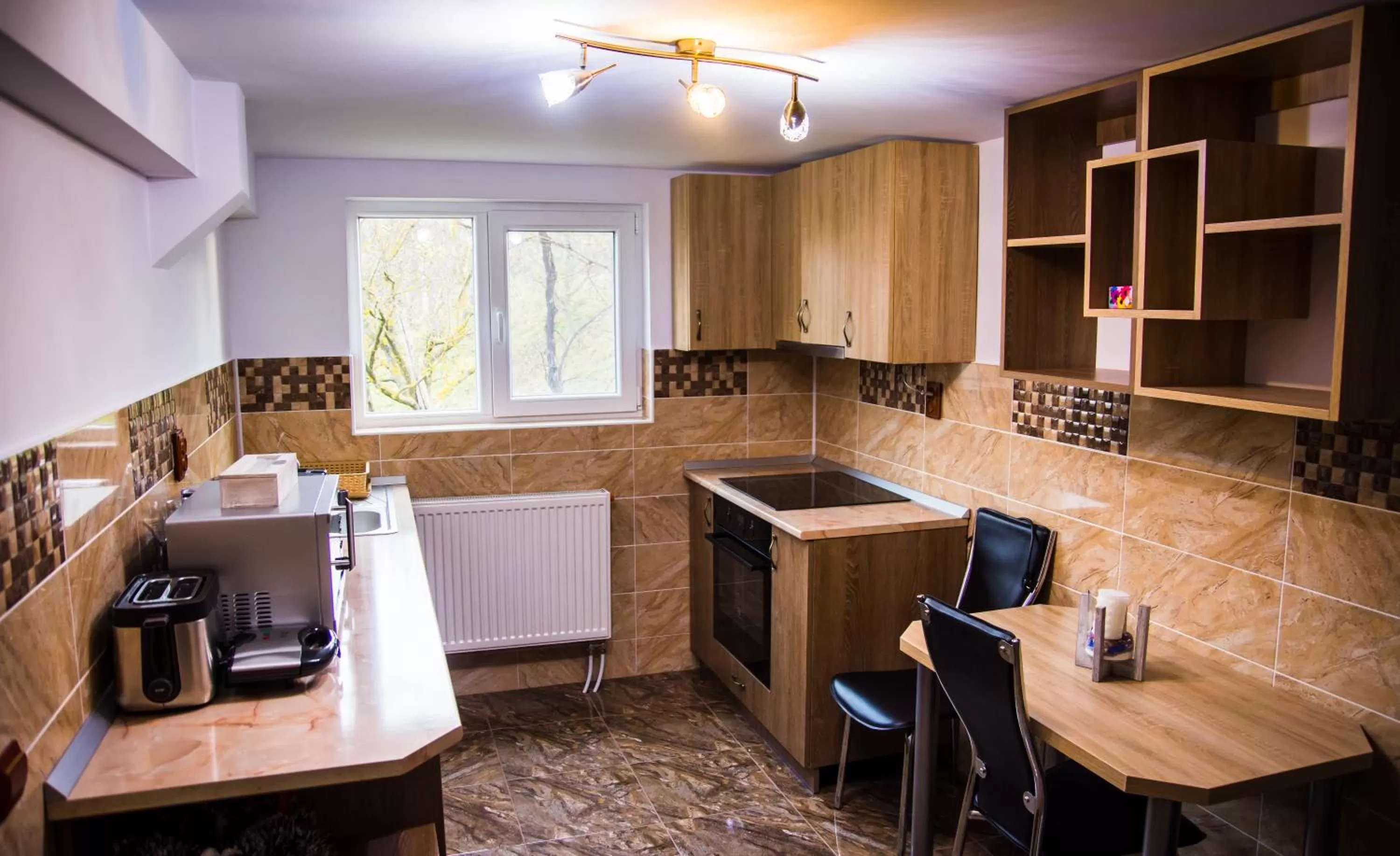 Property building, Kitchen/Kitchenette in Pensiunea SilvAnka