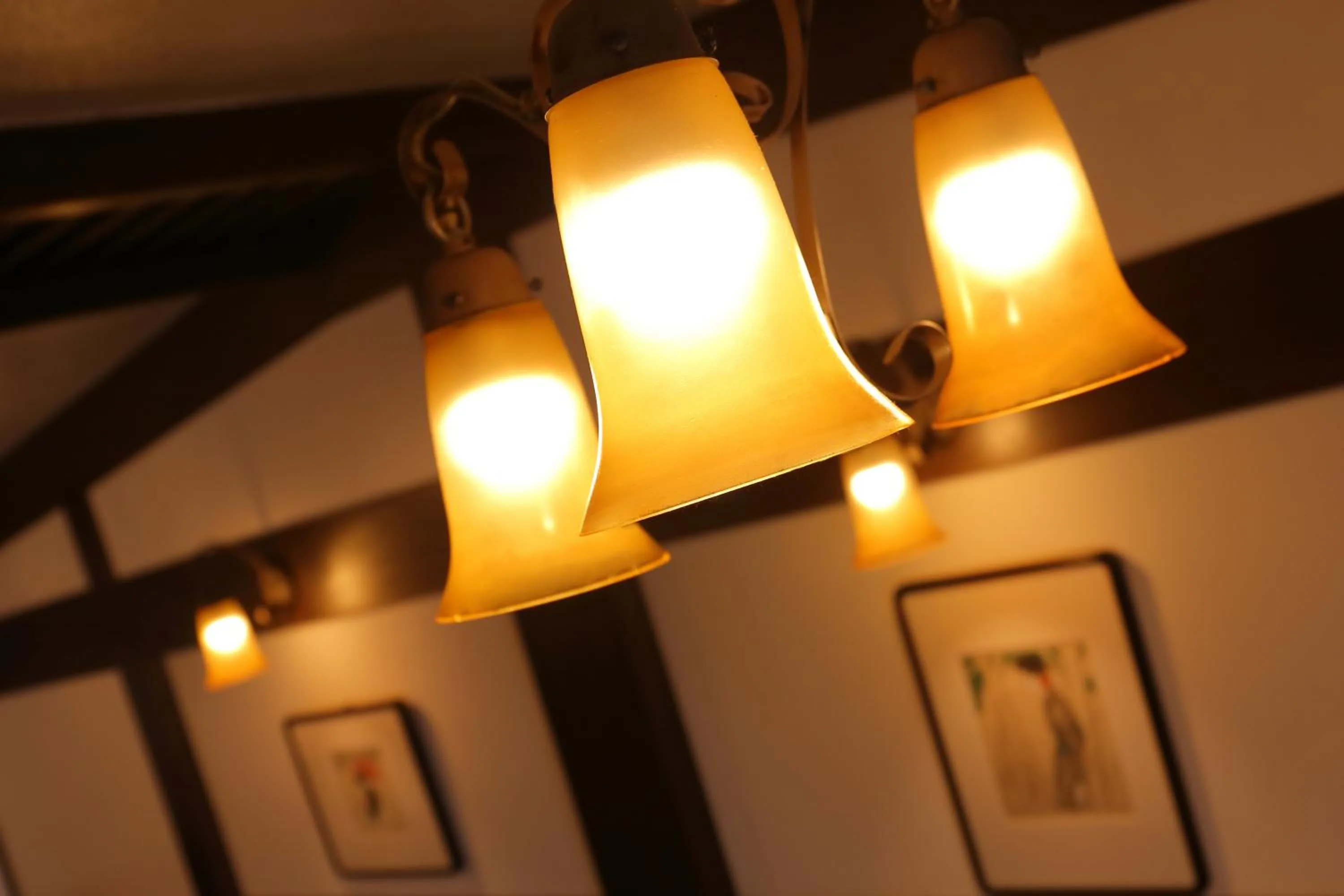 Other in Zao Onsen Omiya Ryokan