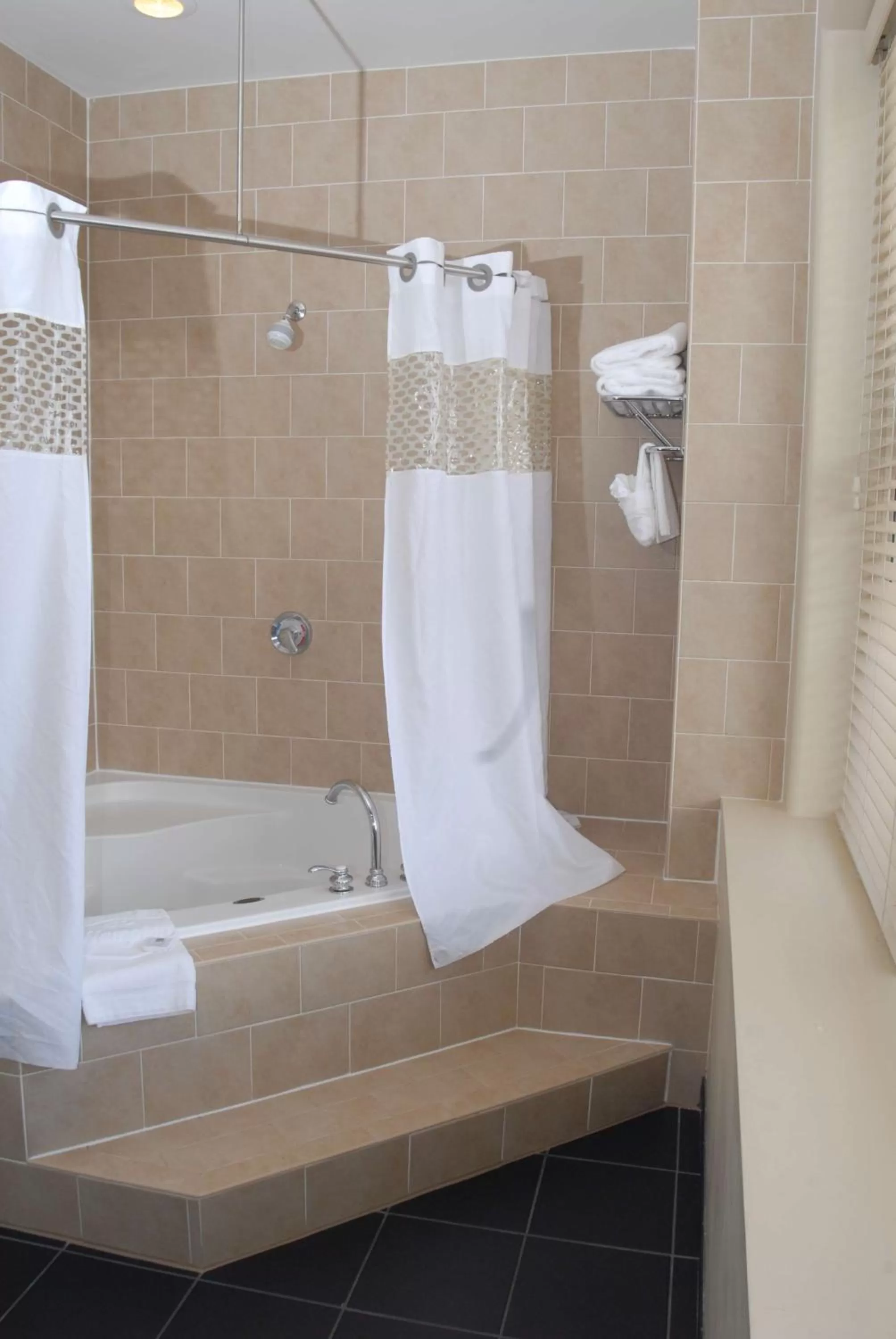 Bathroom in Hampton Inn and Suites Ogden