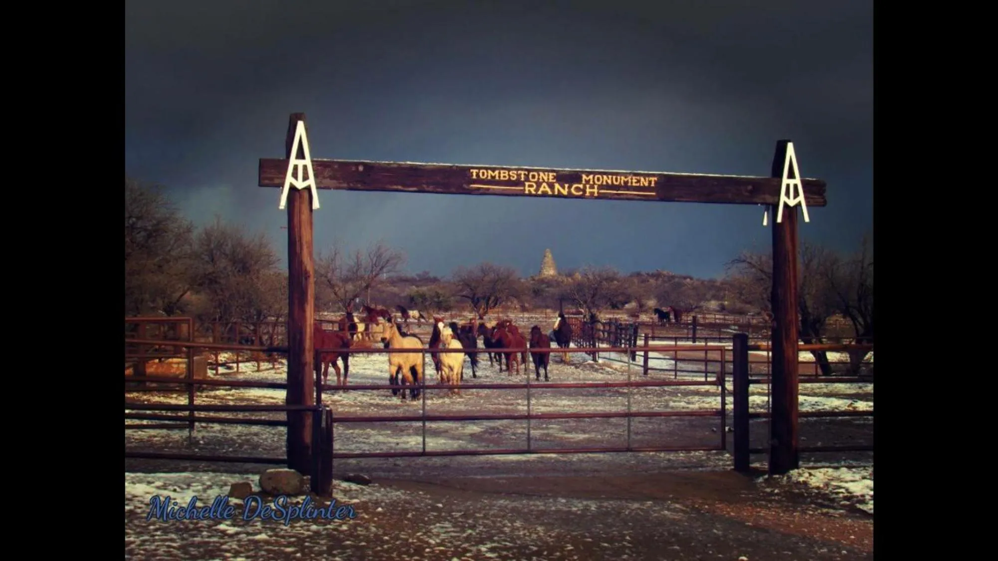 Animals in Tombstone Monument Guest Ranch