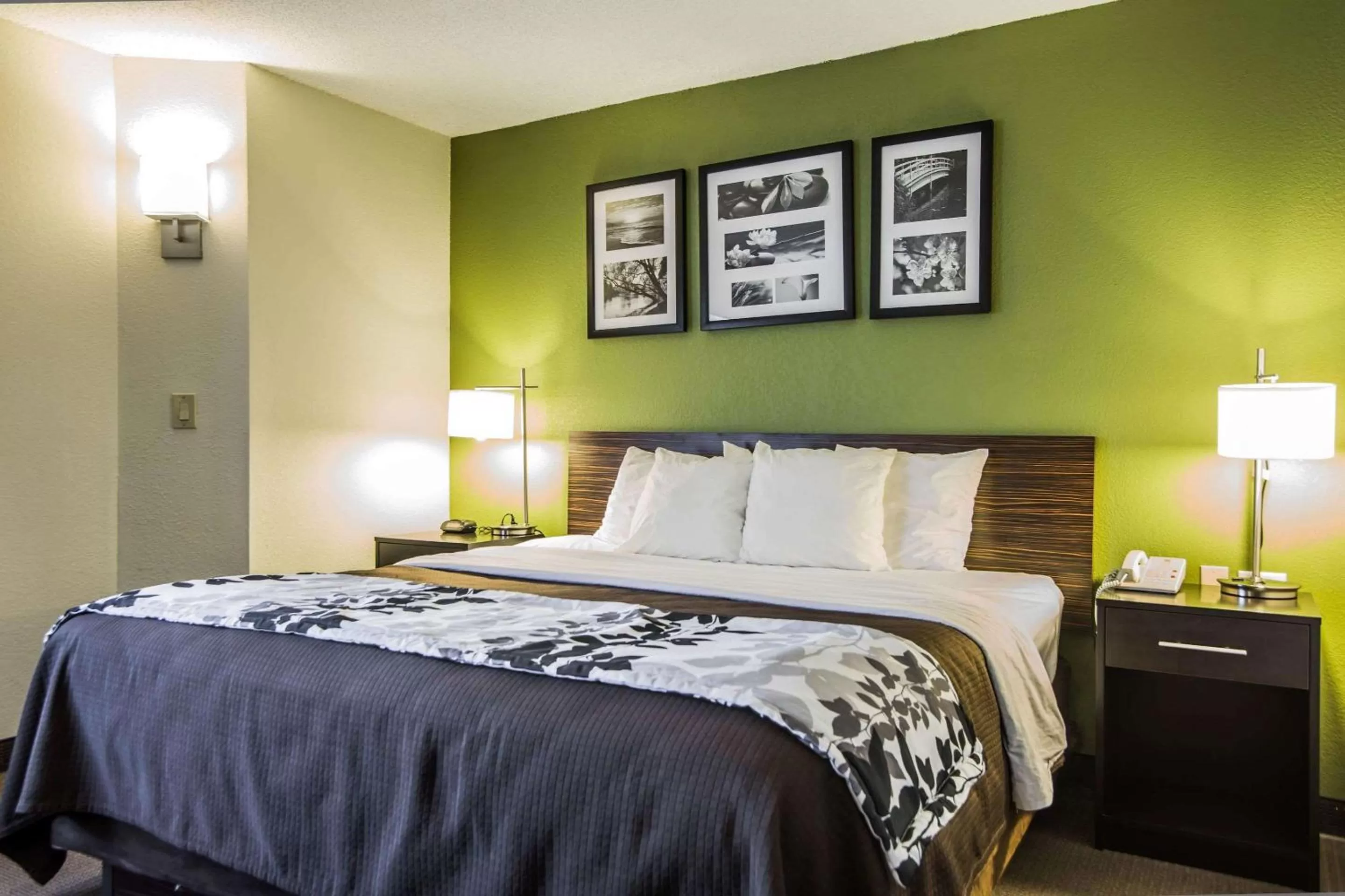 Photo of the whole room, Bed in Sleep Inn Columbia Airport