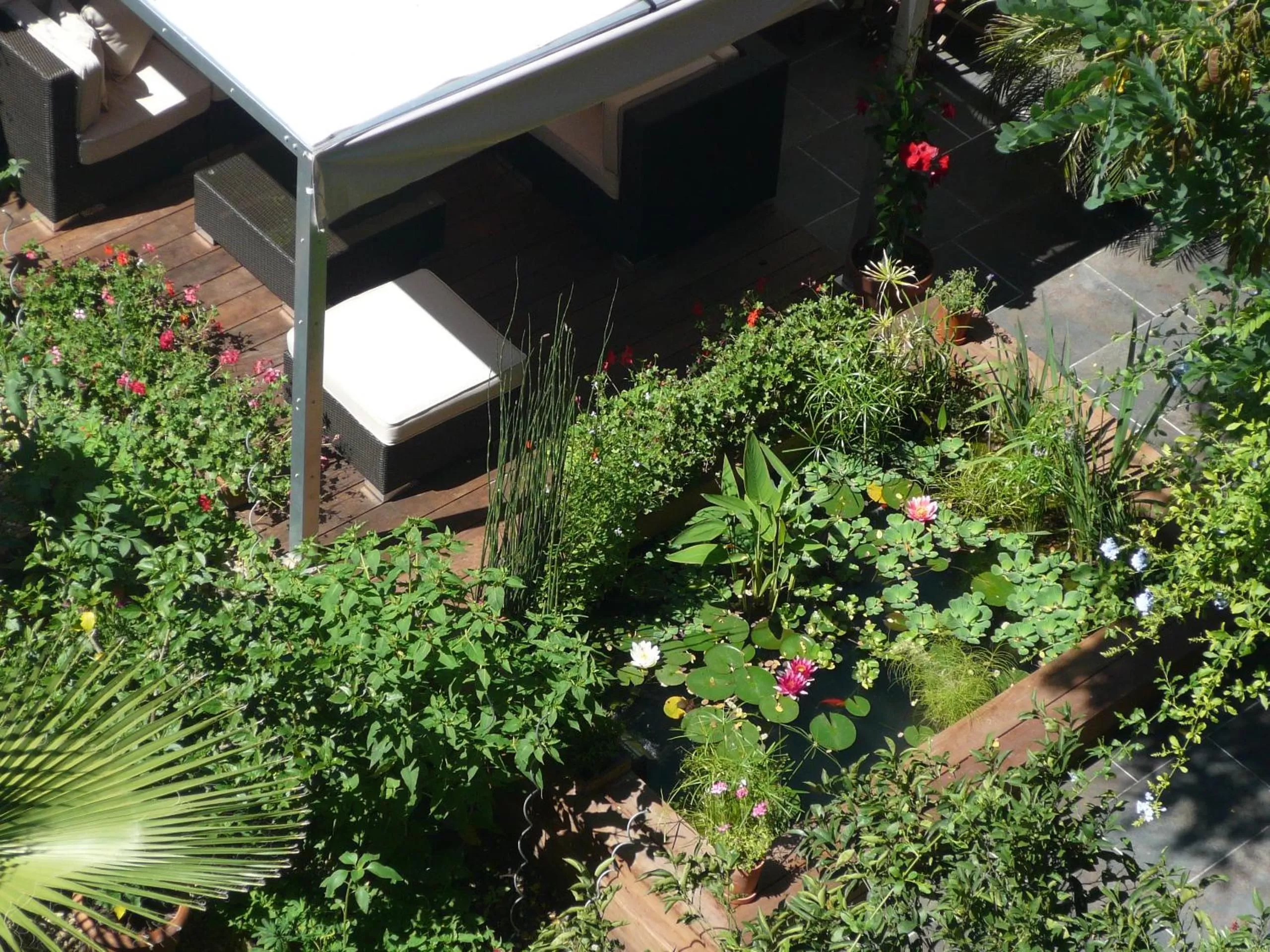 Garden in Hotel des Arceaux
