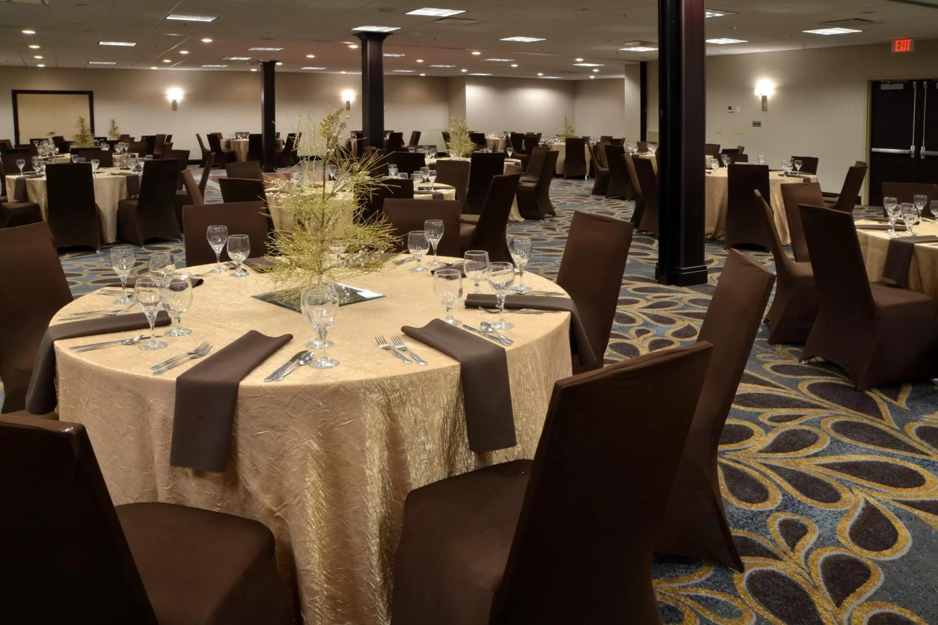 Banquet/Function facilities in Holiday Inn Canton-Belden Village by IHG