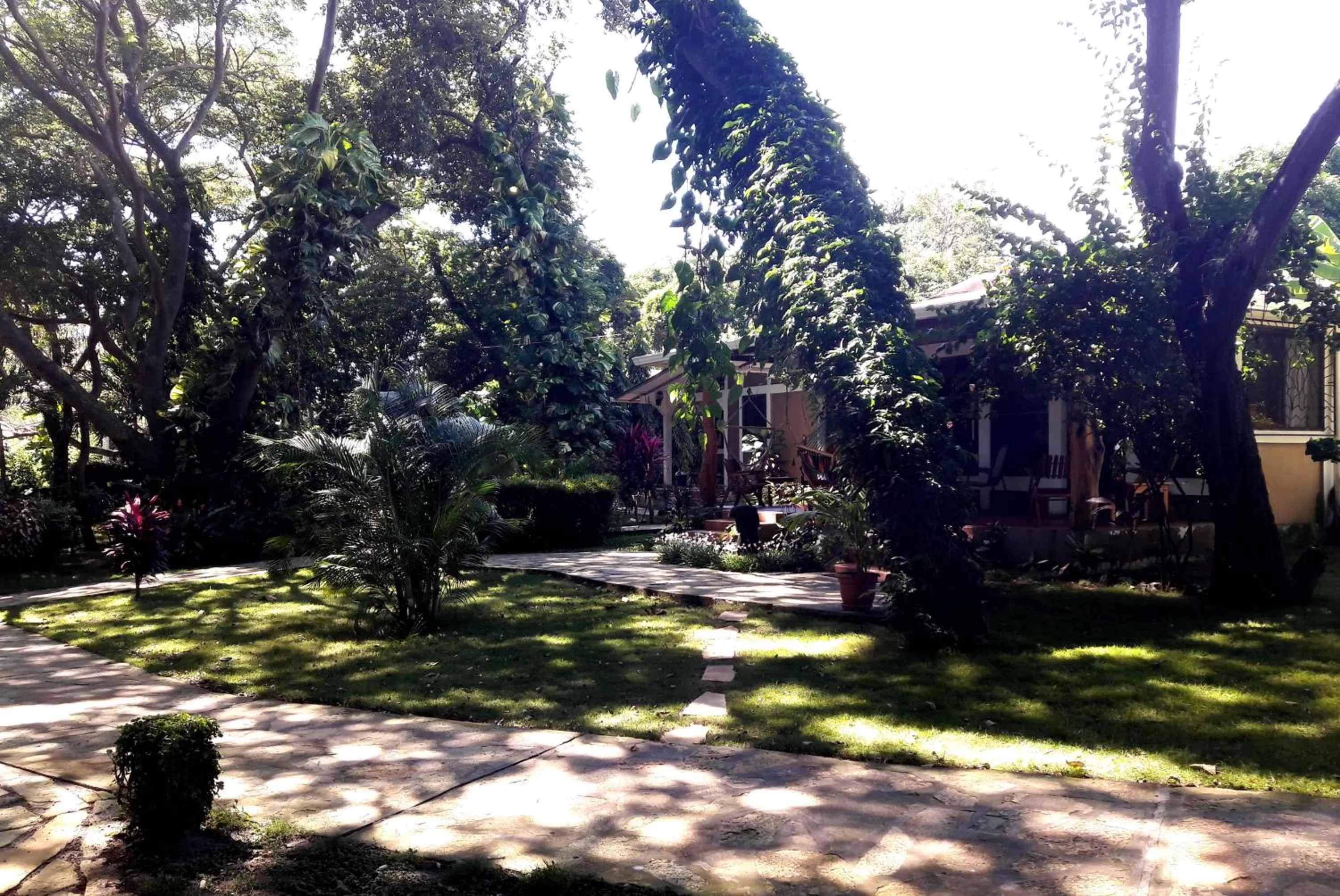 Garden in Xalli Beach Hotel