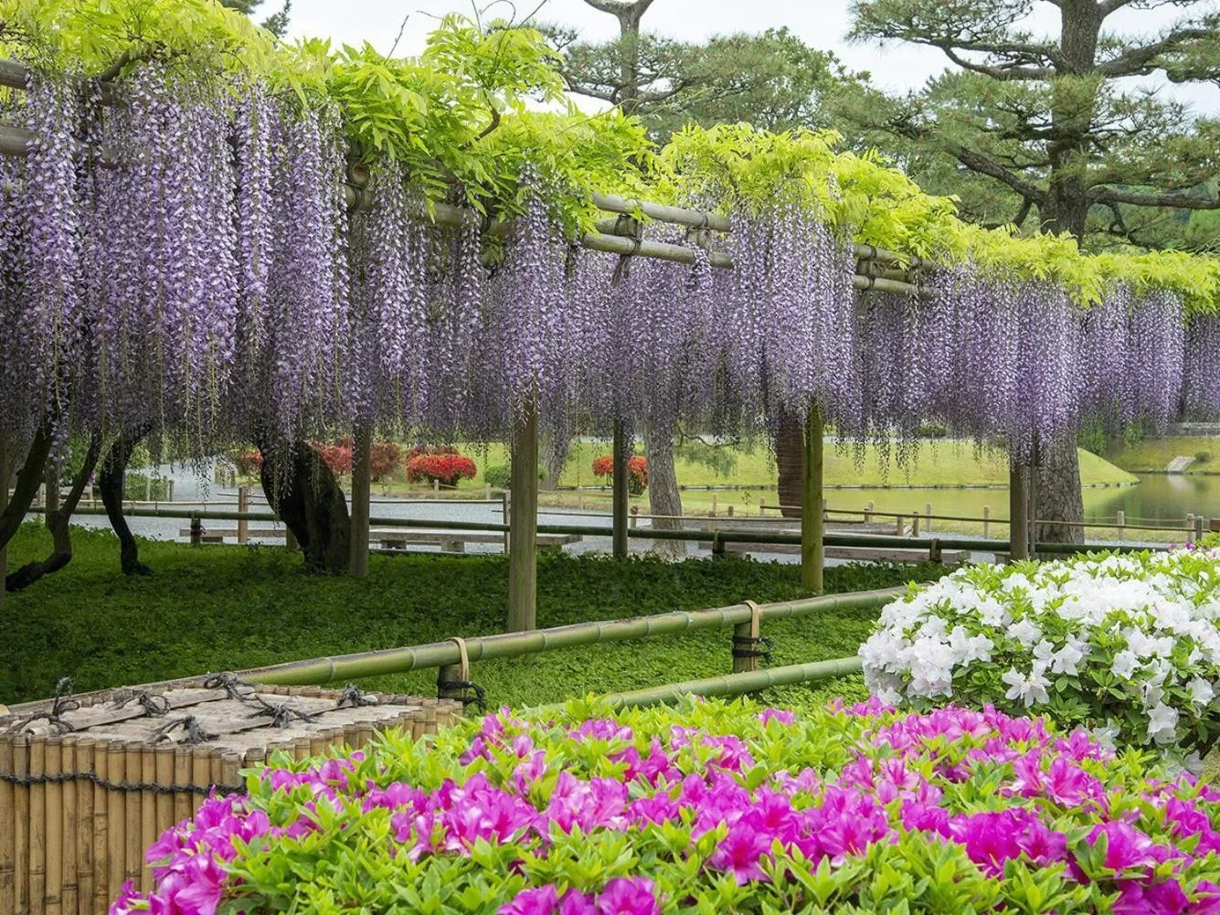 Off site in Hanayashiki Ukifune-en