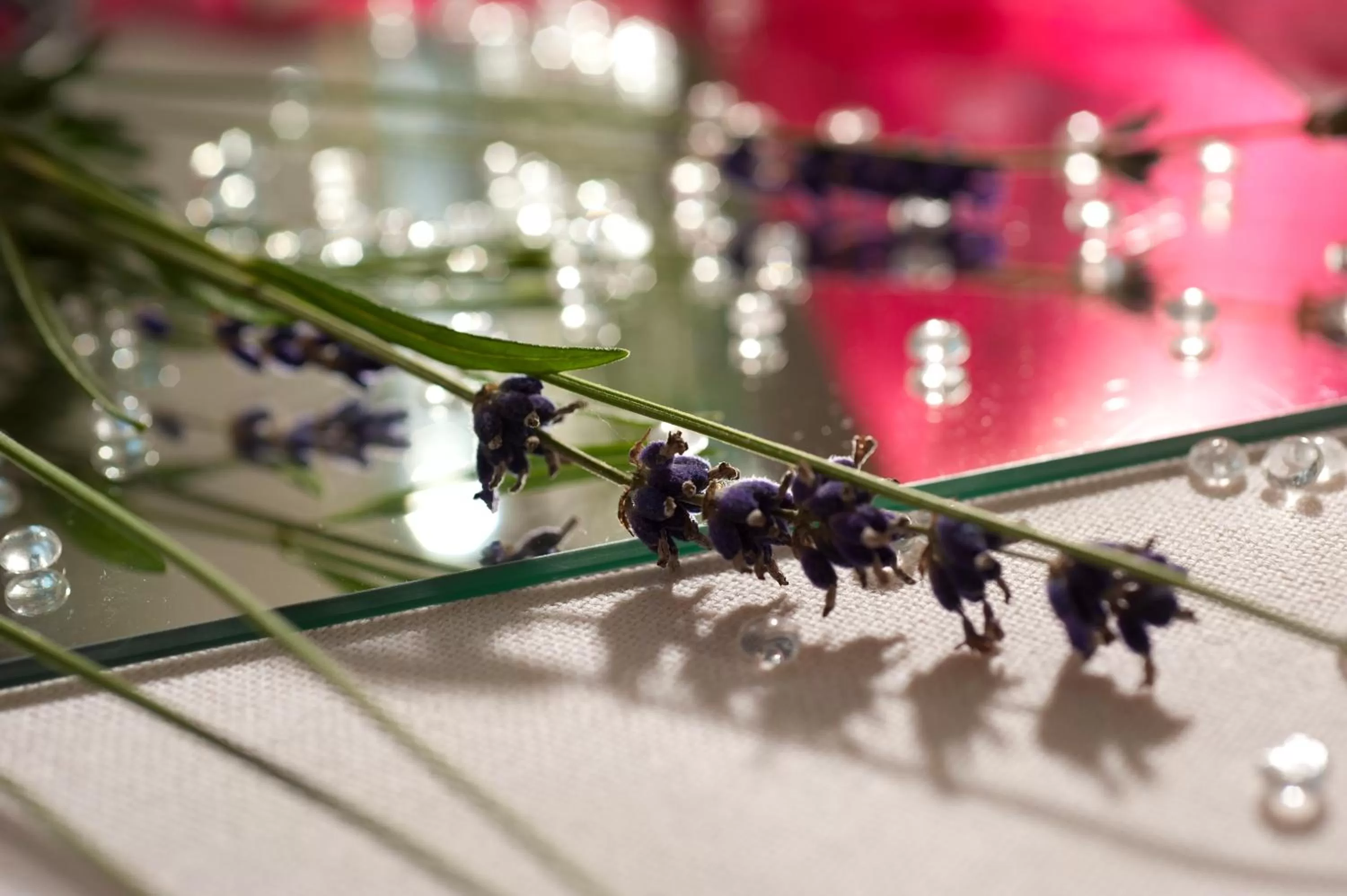 Banquet/Function facilities in Akzent Hotel Restaurant Hirsch