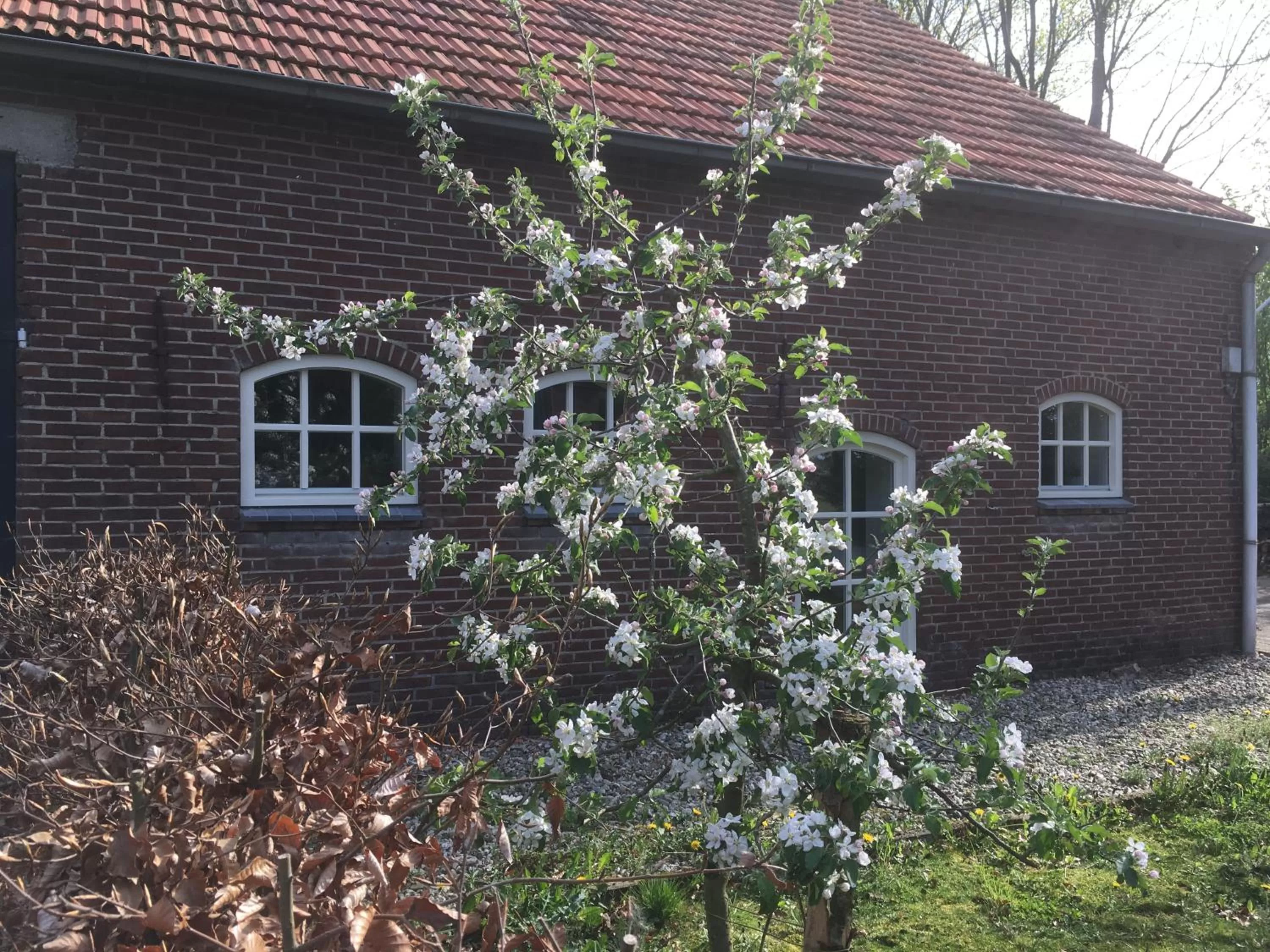 Property building in B&B bij Bedaf