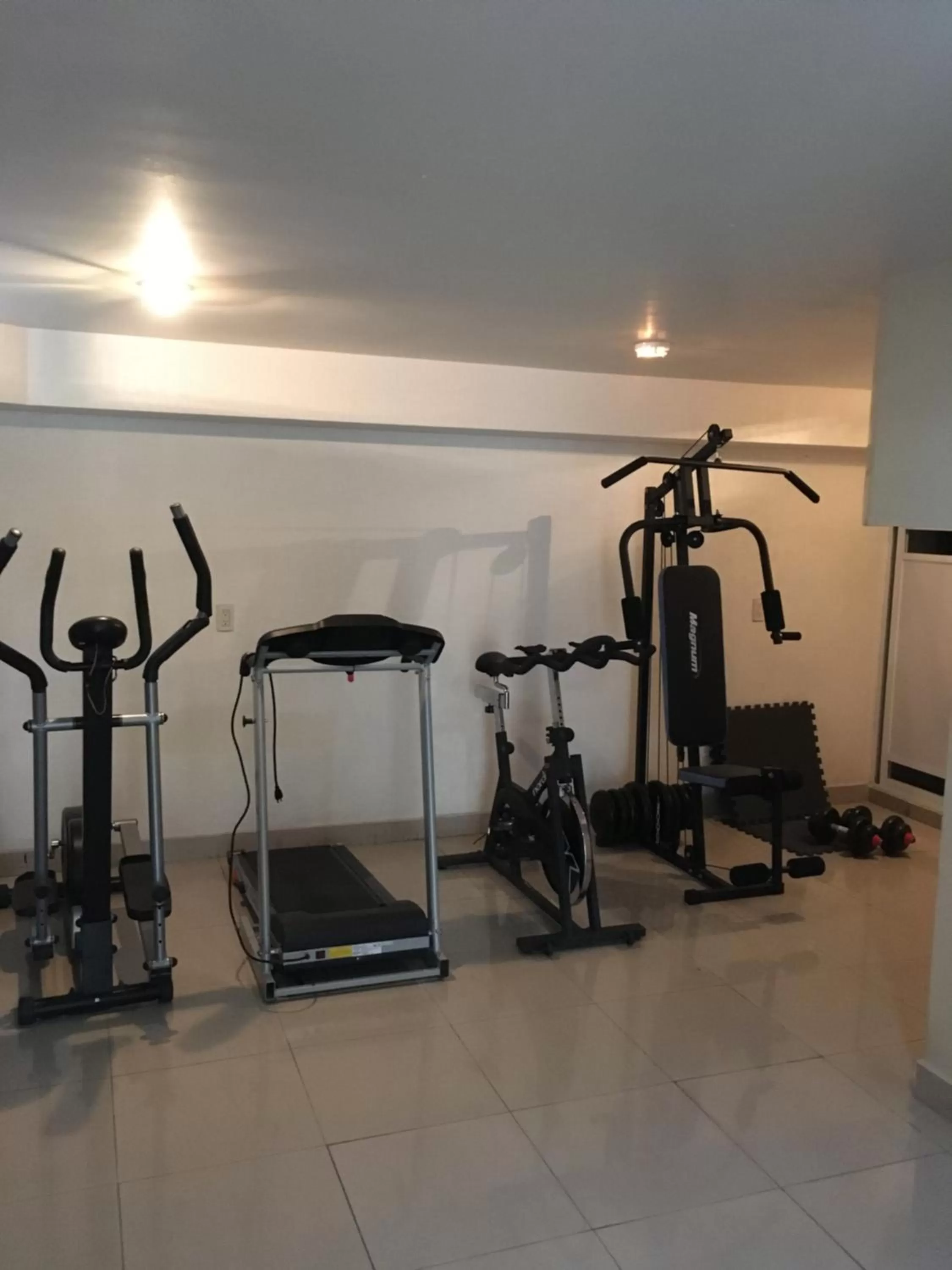 Fitness centre/facilities in Grupo Kings Suites - Monte Chimborazo 567
