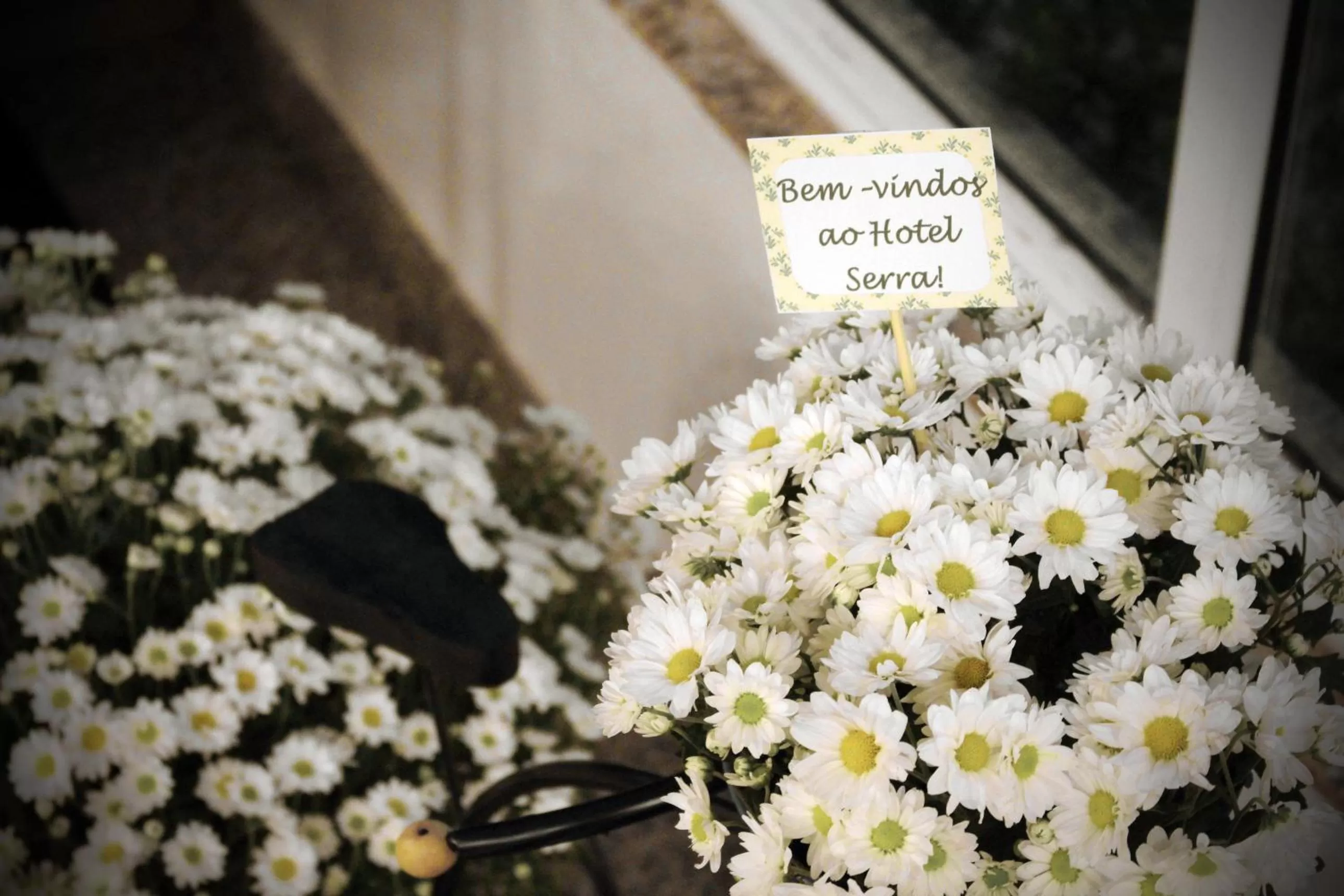 Lobby or reception in Hotel Serra de Jundiaí