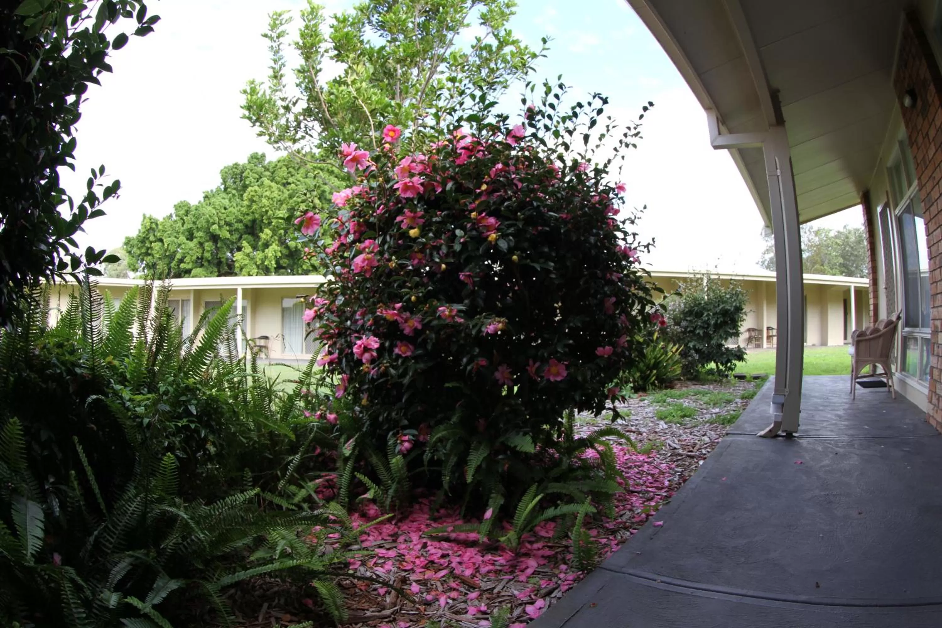 Area and facilities in Sleepy Hill Motor Inn