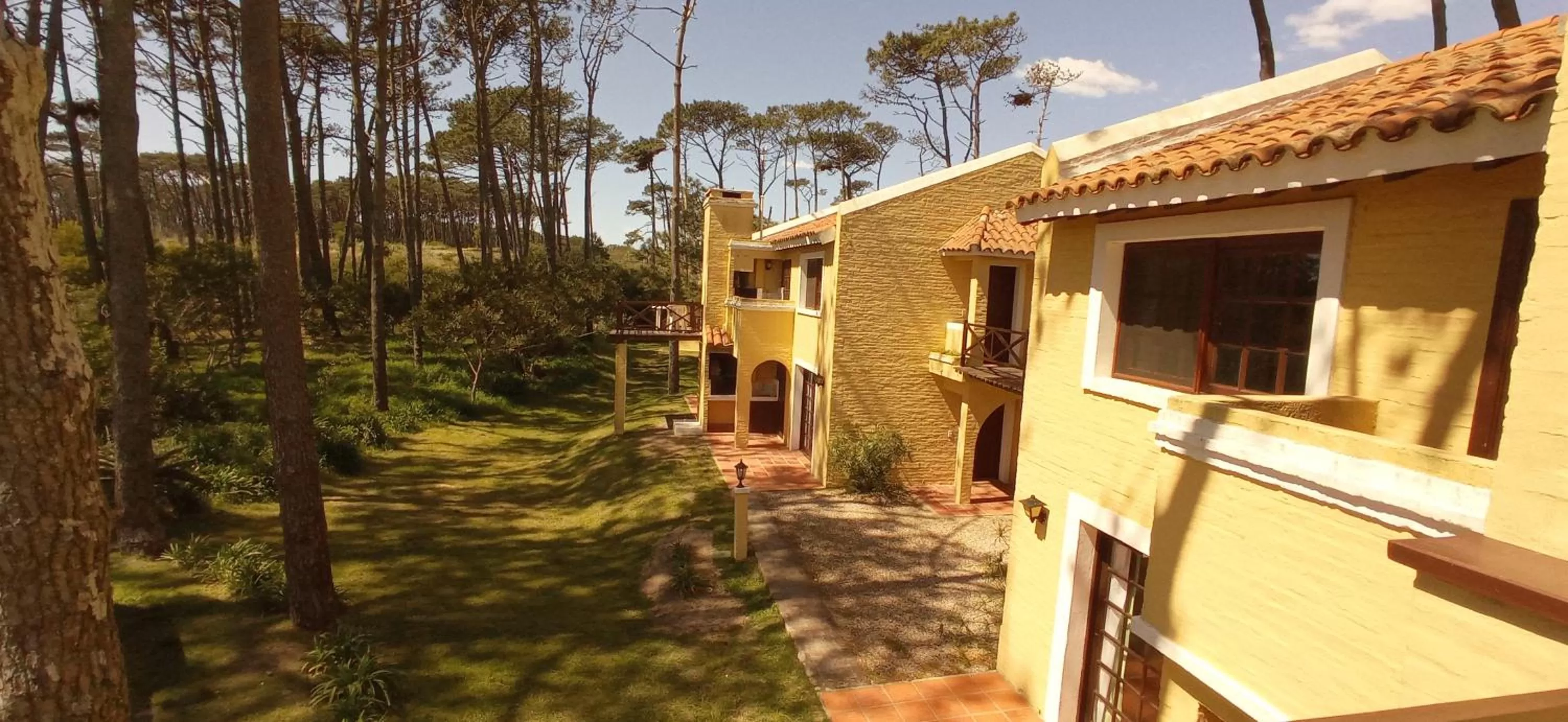 Property Building in Pino Dorado