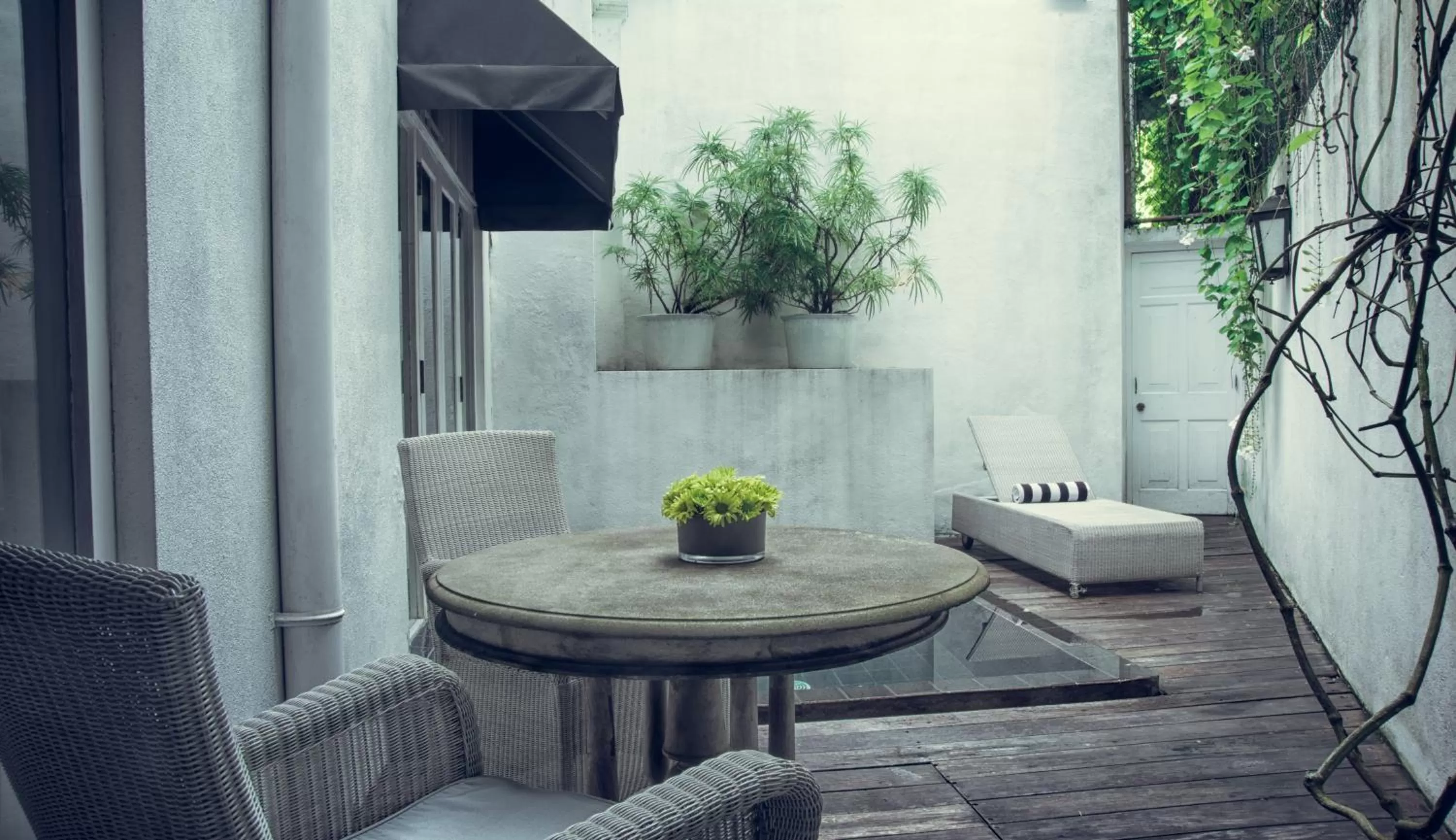 Day in Paradise Road Tintagel Colombo