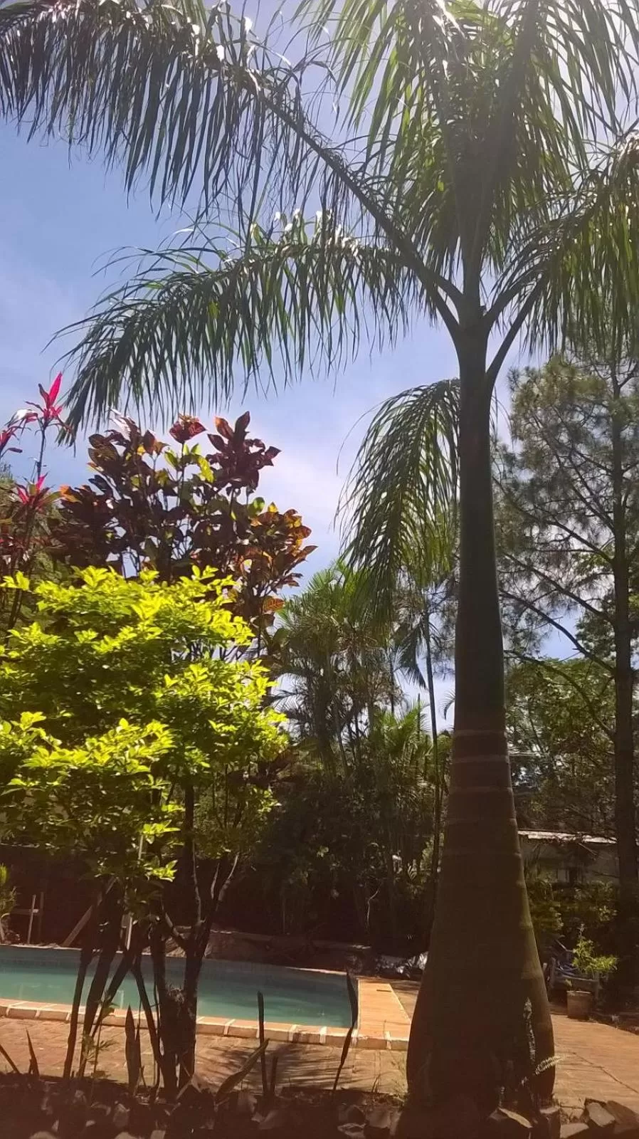 Balcony/Terrace in Petit Hotel Caraguata