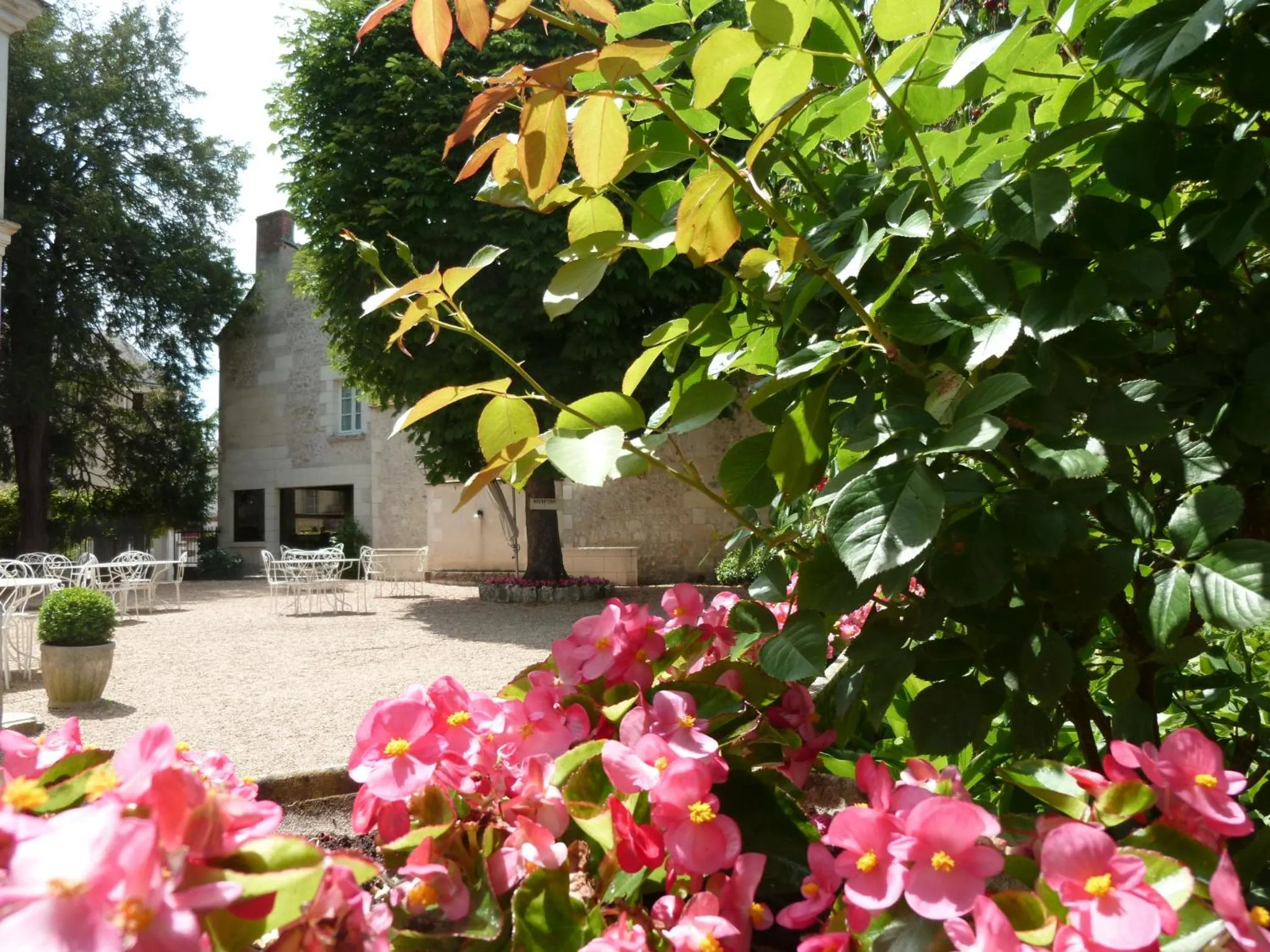 Patio in Hôtel Grand Monarque