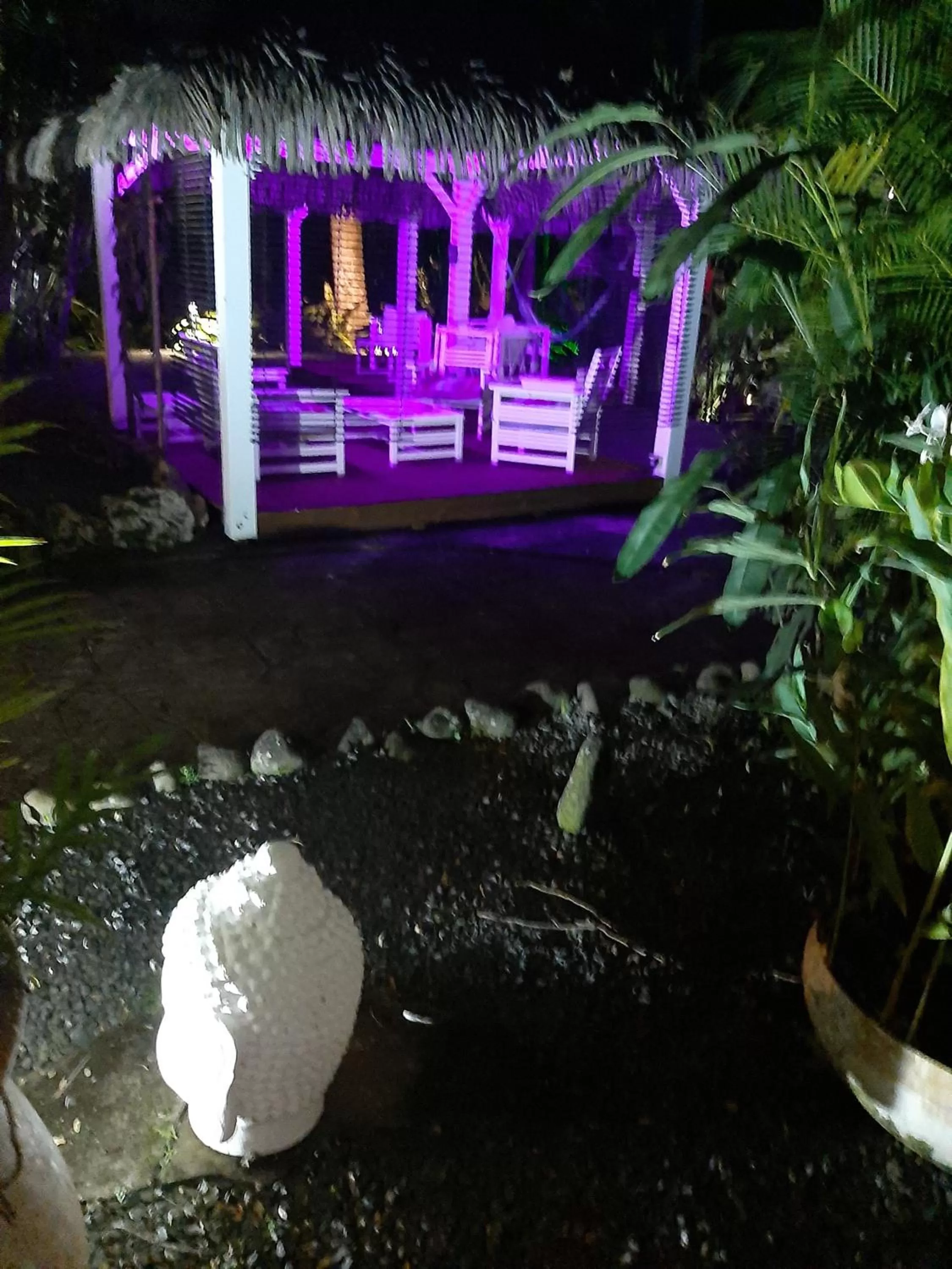 Garden view in Les Gîtes de la Lézarde