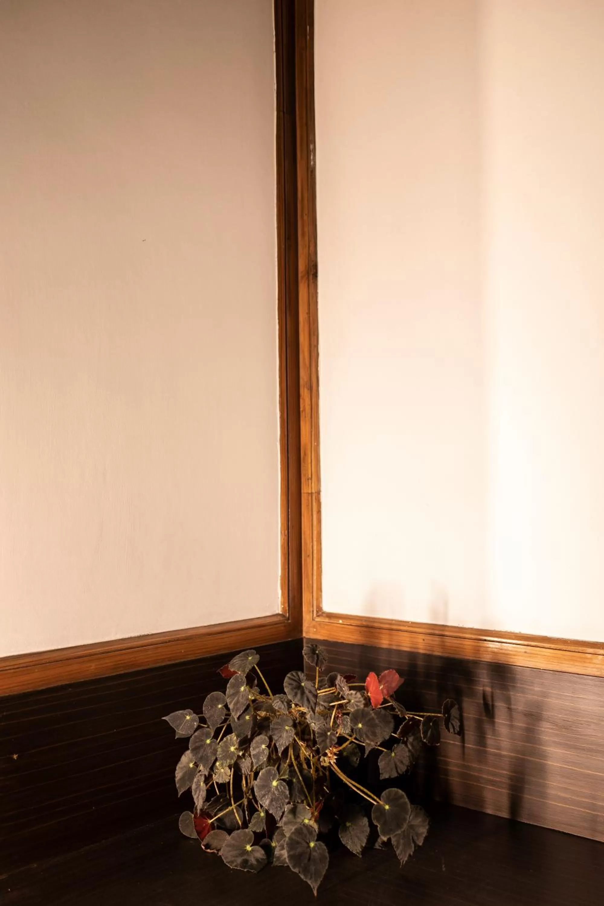 Floor plan in Yangthang Heritage