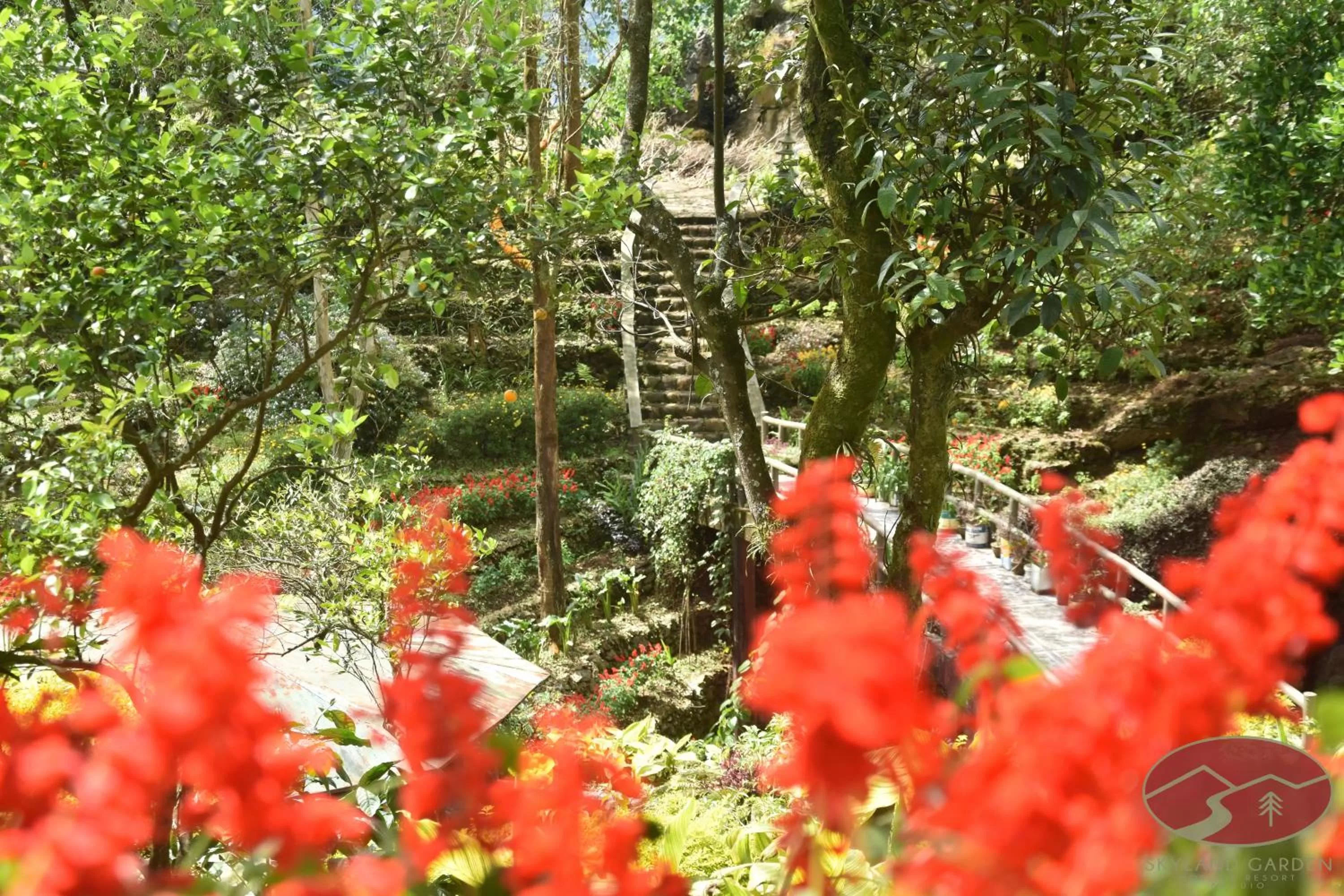 Skyland Garden Hotel and Resort