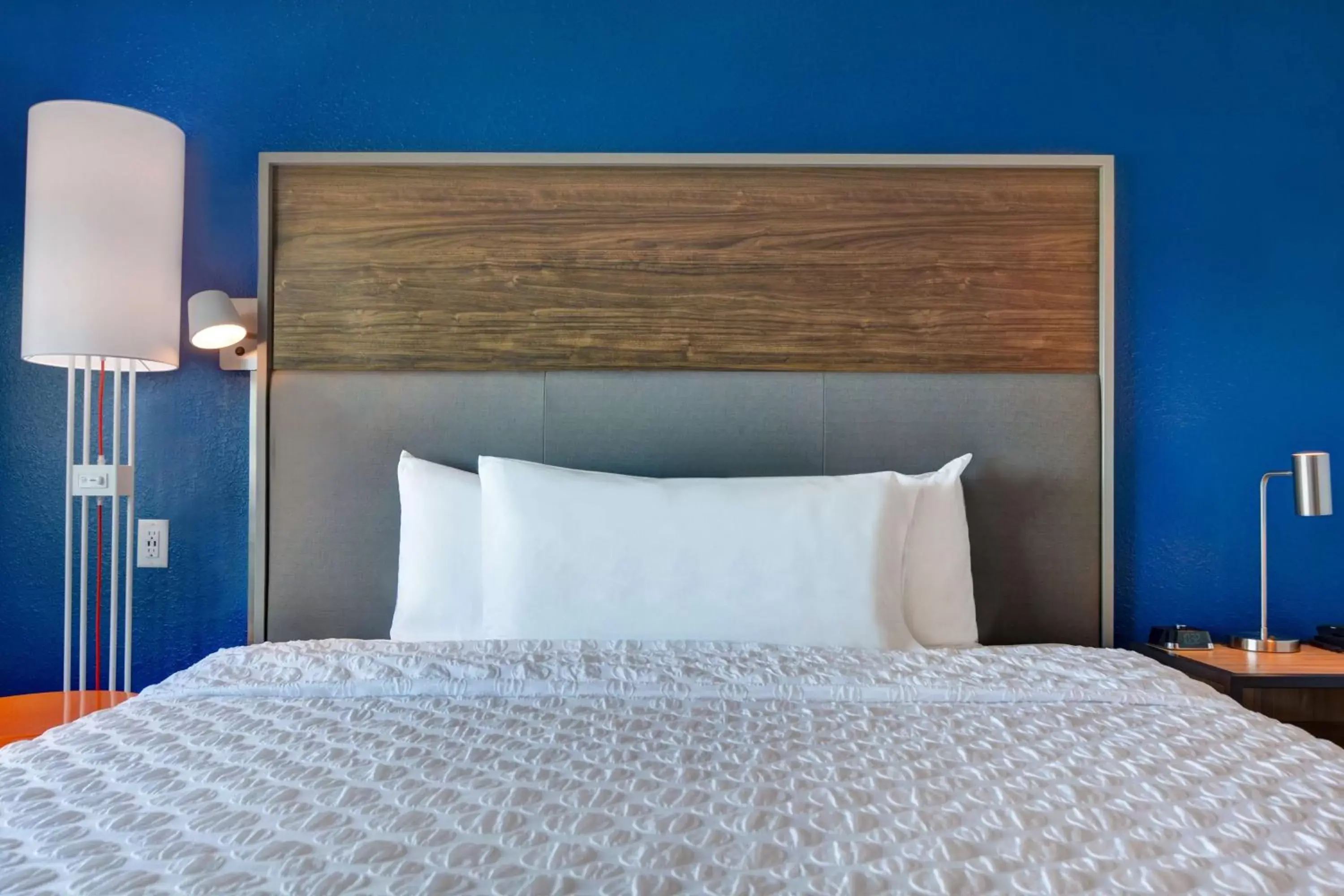 King Room with Bath Tub - Mobility Access in Tru By Hilton St. Petersburg Downtown Central Ave King Room with Bath Tub - Mobility Access in Tru By Hilton St. Petersburg Downtown Central Ave