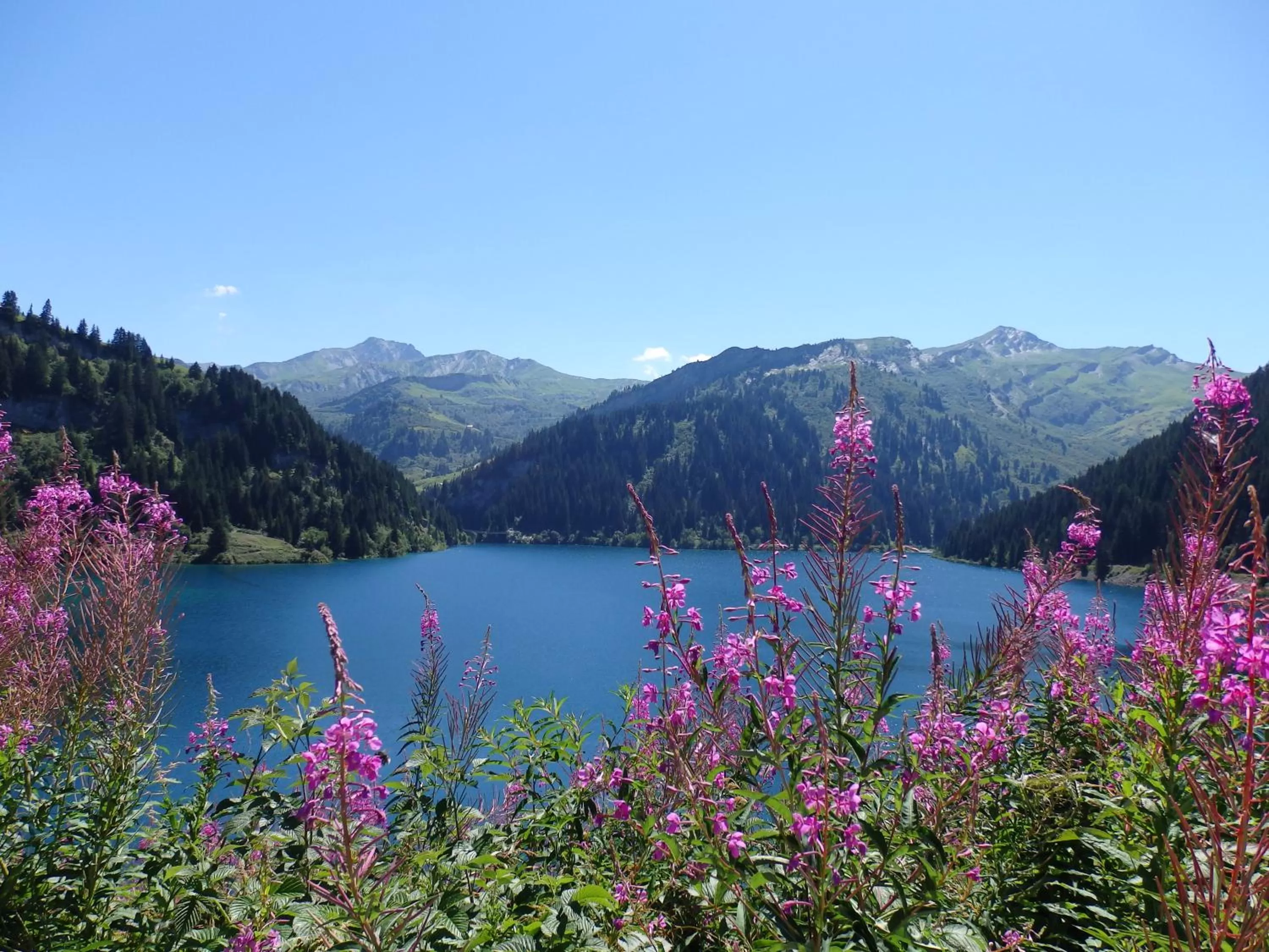 Off site in Hôtel Viallet