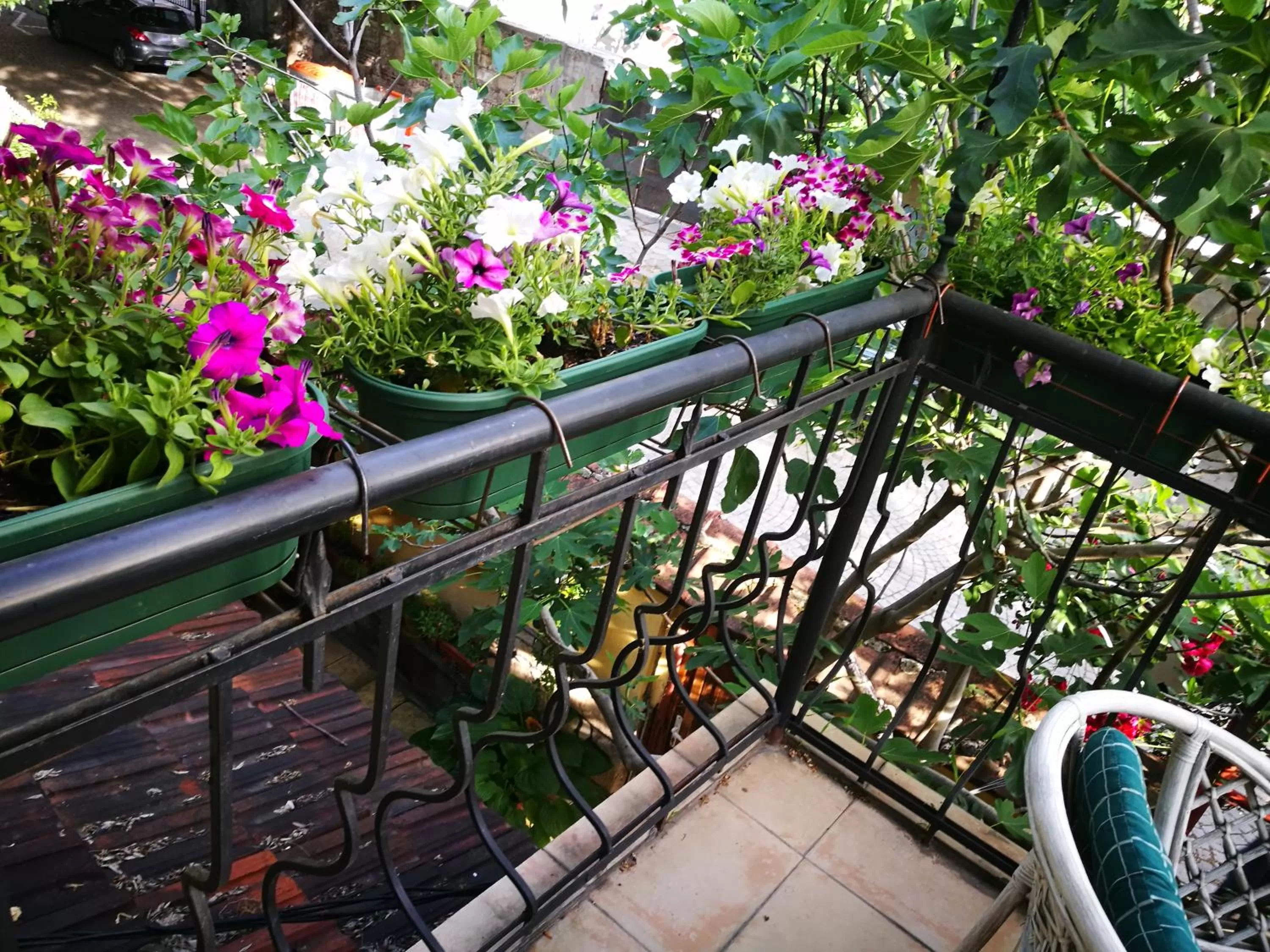 Property building in Hotel Paradise