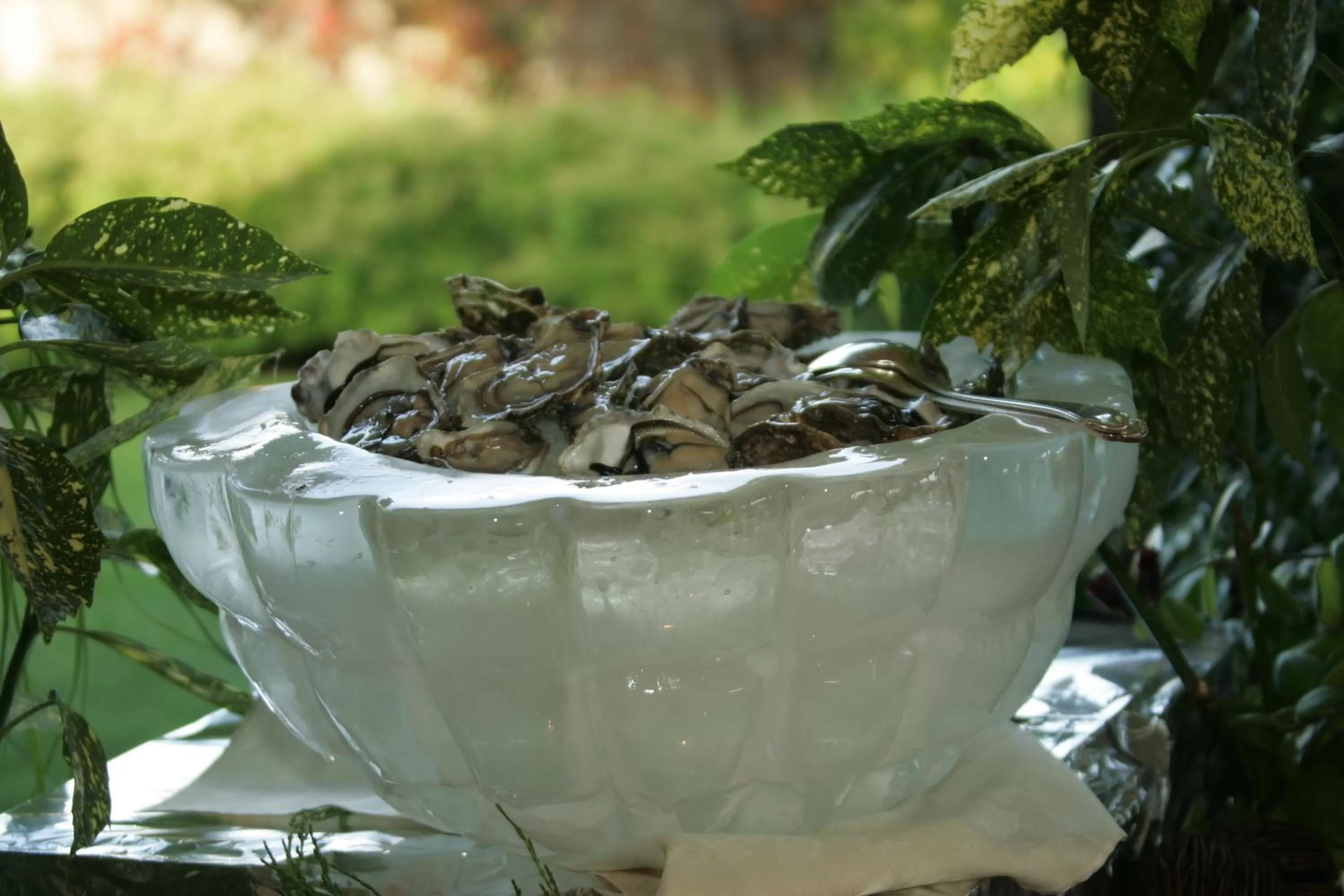 Food in Bes Hotel Bergamo Cologno al Serio