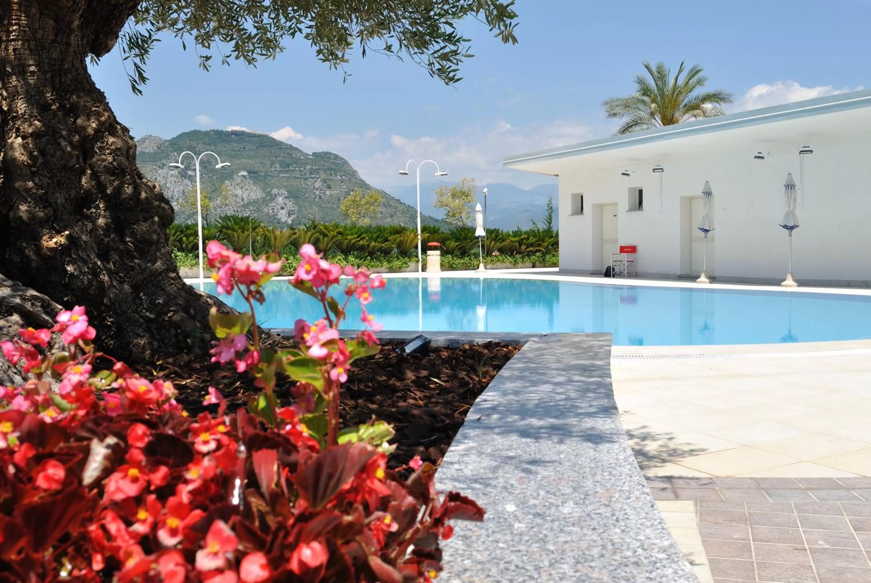 Swimming pool in Edra Palace Hotel & Ristorante