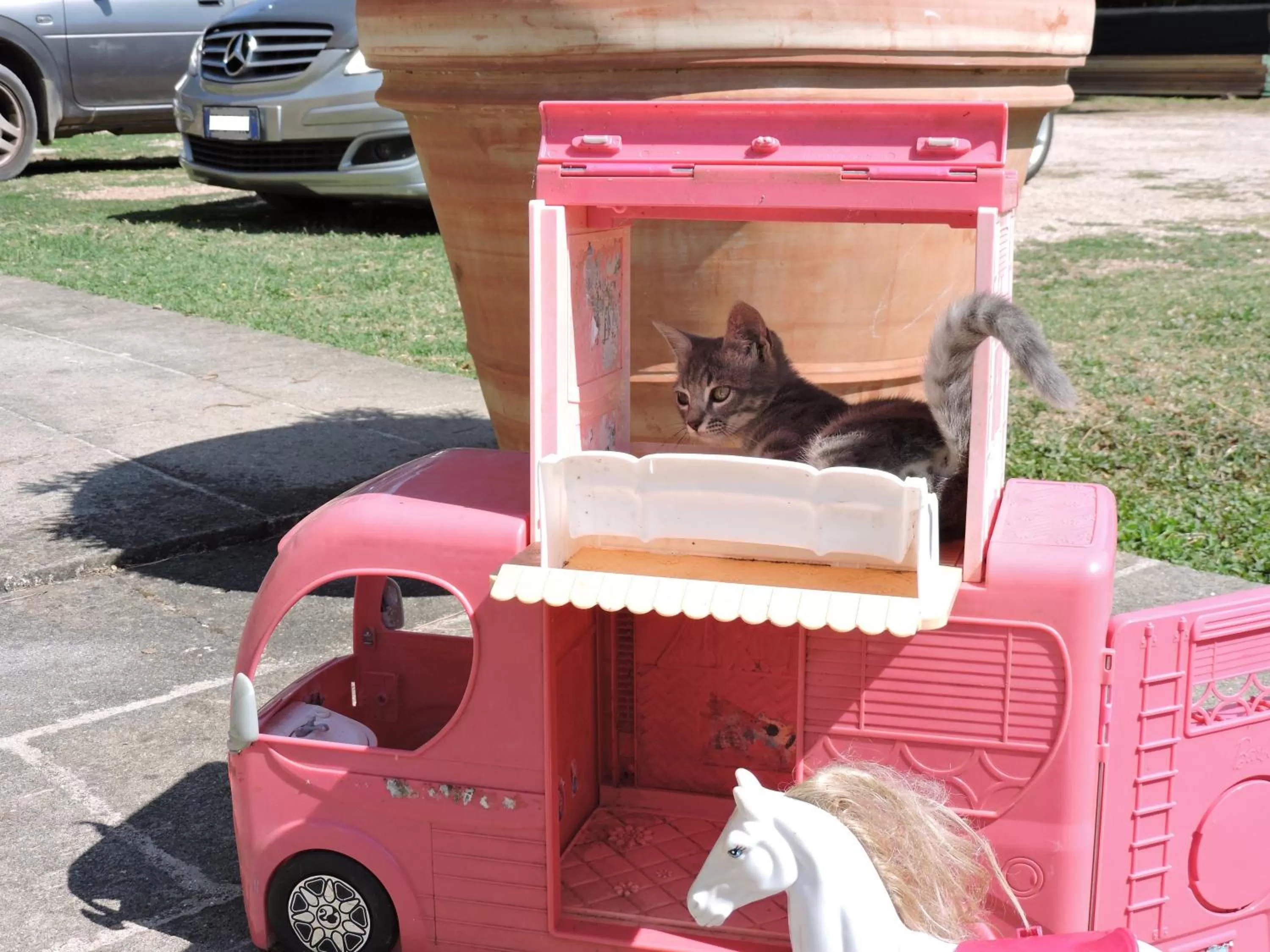 Property building, Children in Casale Fedele Family Village Vicino al Borgo