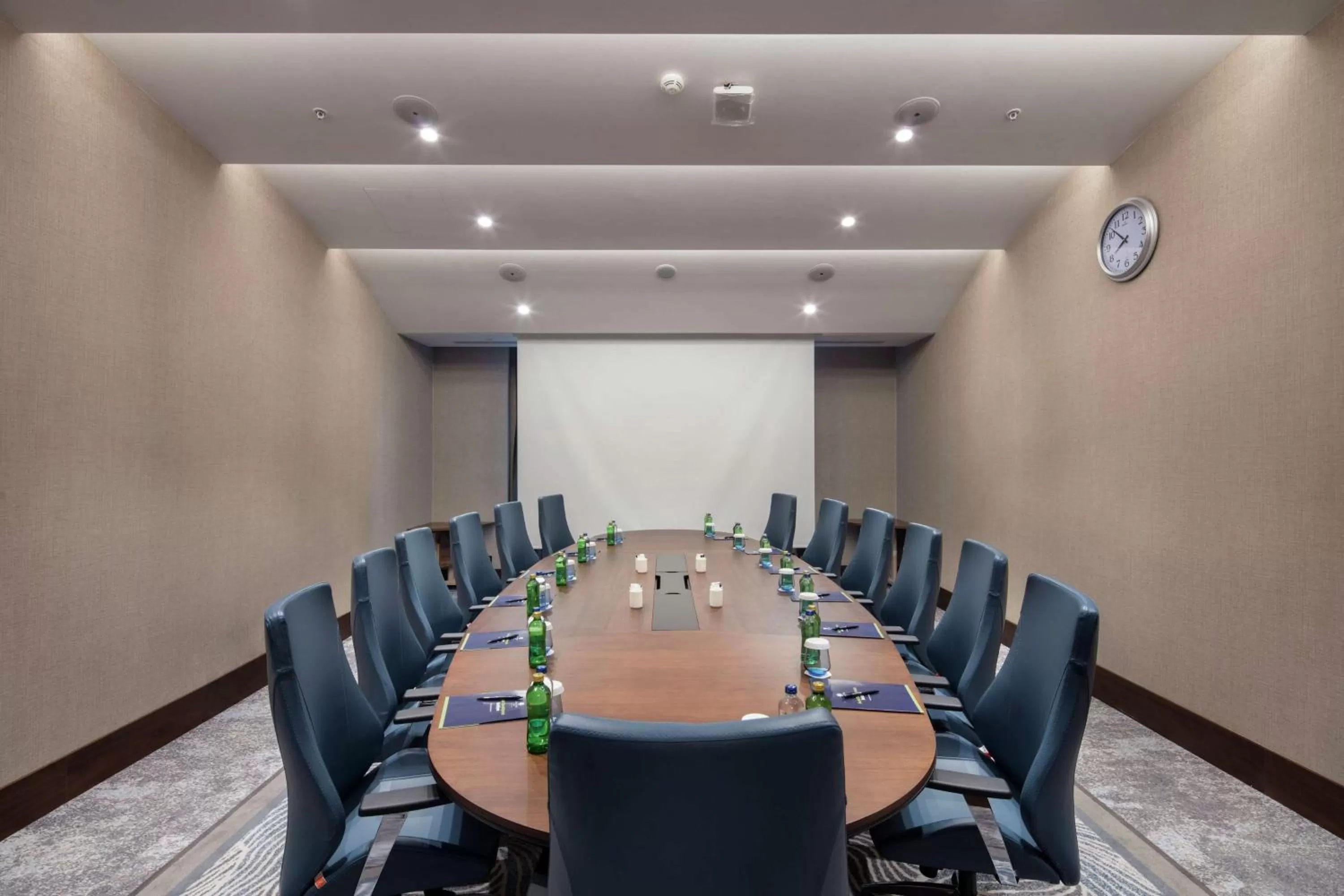 Meeting/conference room in Doubletree By Hilton Afyonkarahisar