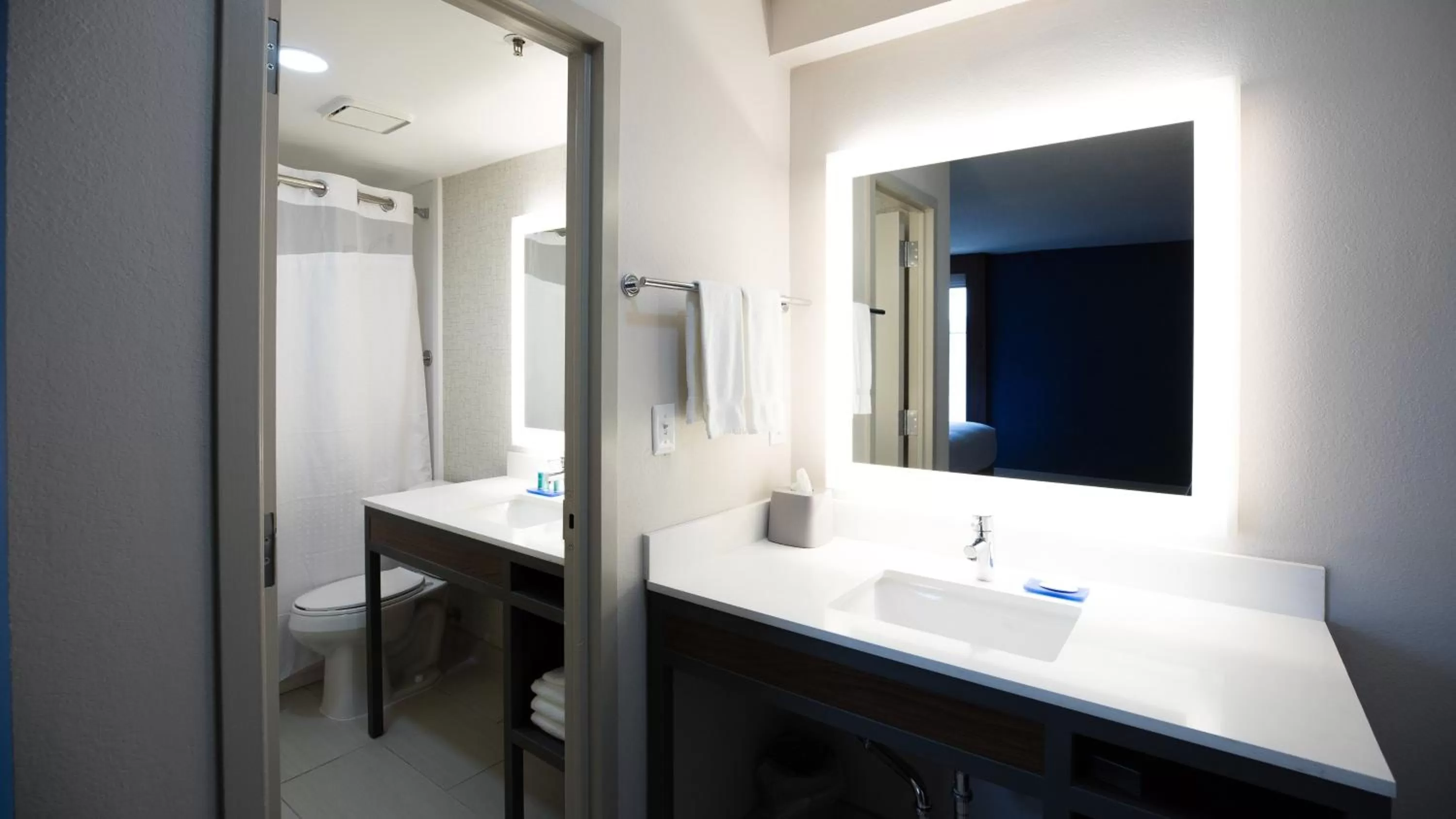 Suite - Mobility Access Roll in Shower/Non-Smoking in Holiday Inn Express Nashville-Downtown Conference Center, an IHG Hotel