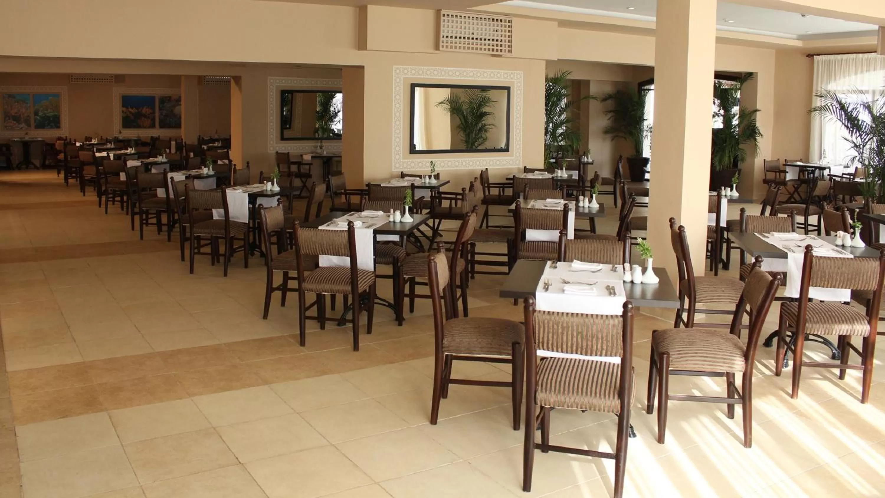 Restaurant/places to eat in JAZ Neo Naama Bay