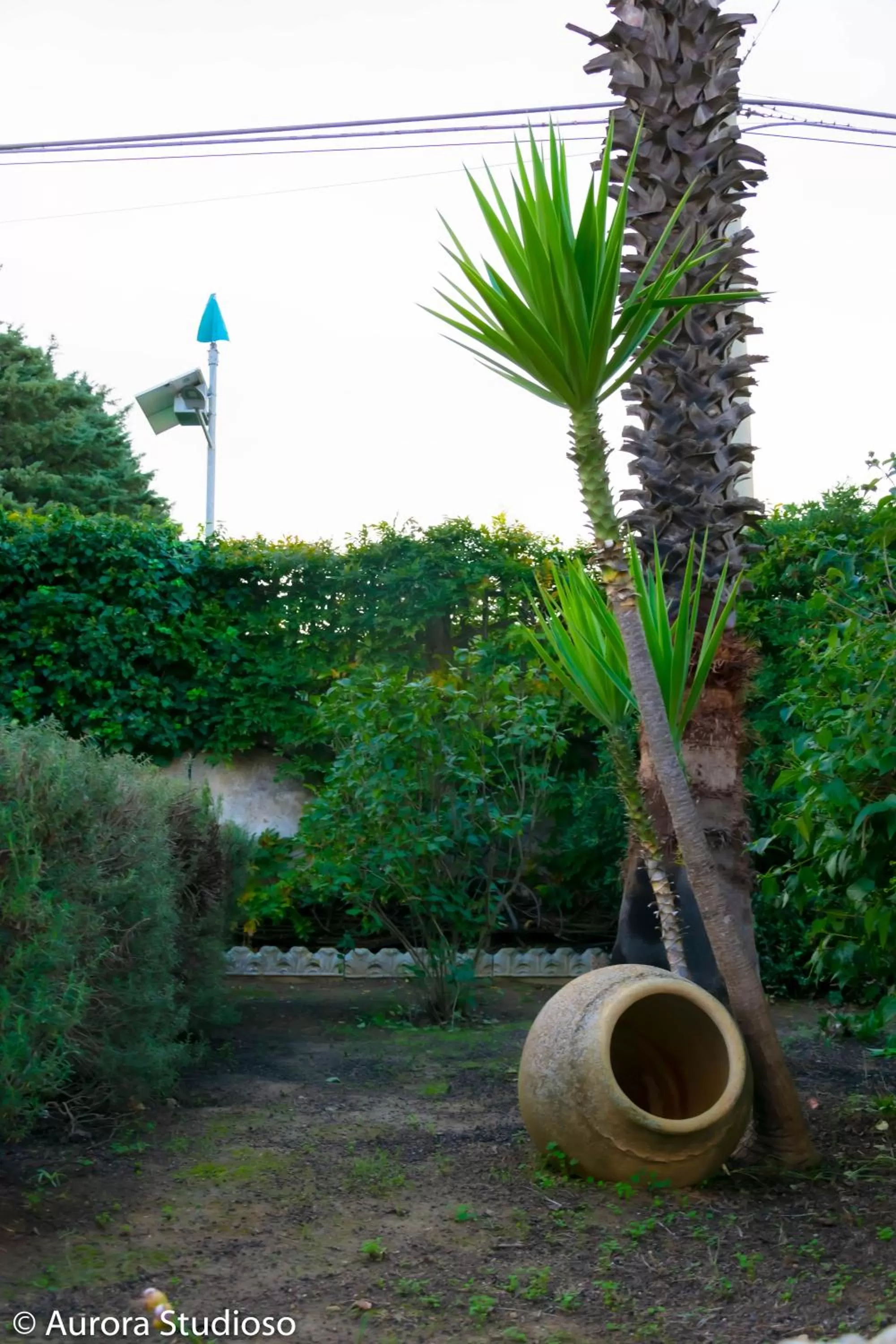 B&B L'incanto degli Artisti