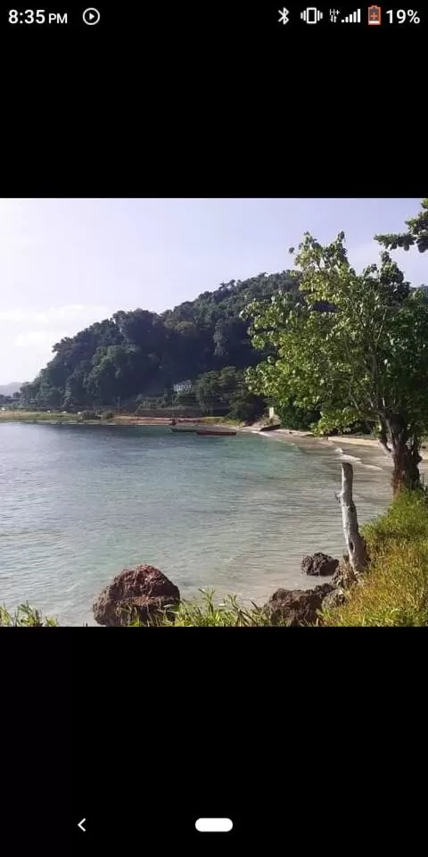 Port Antonio Brian's Beach House
